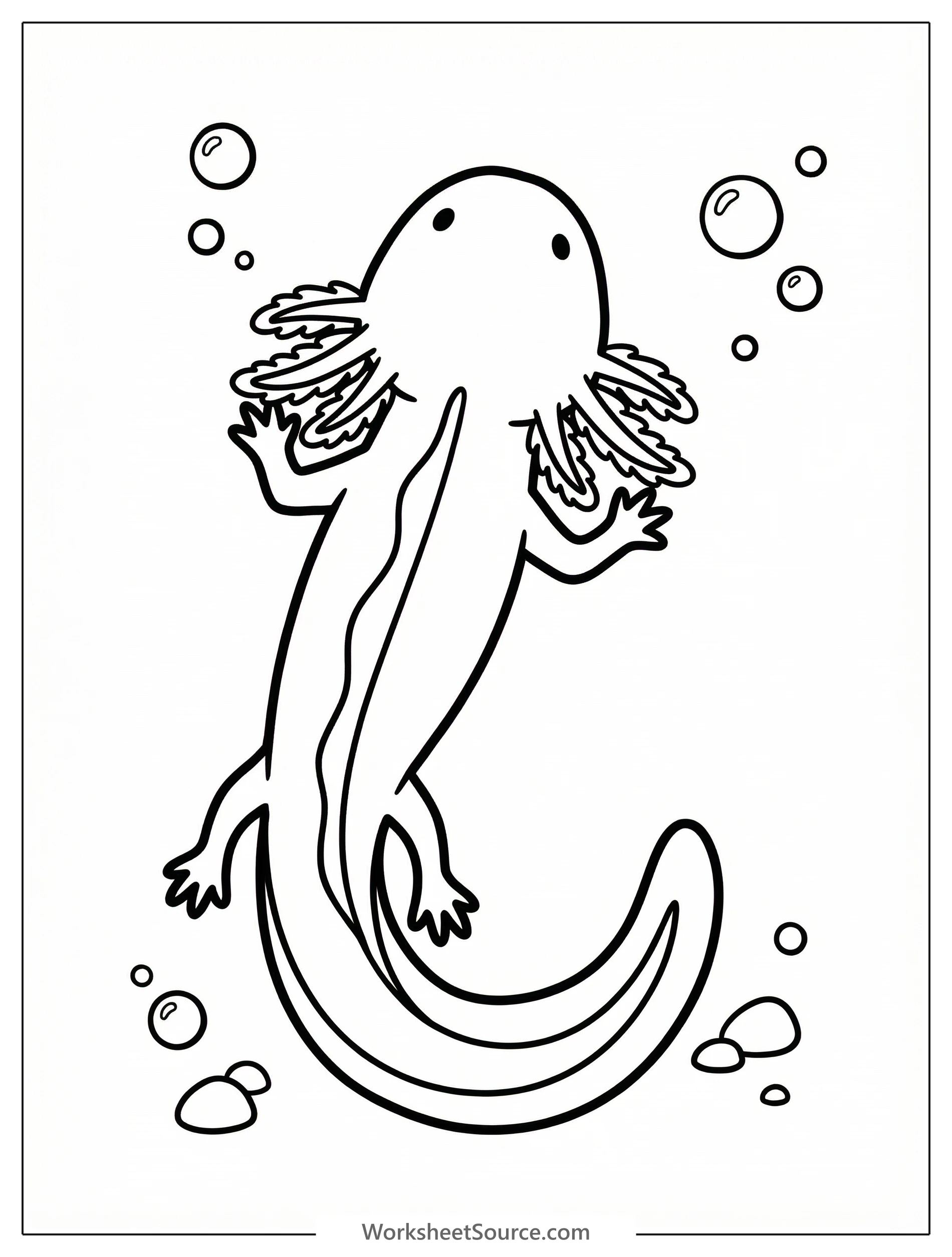 Line art coloring page featuring an anatomically correct axolotl viewed from above, highlighting its spine ridge, distinctive gill filaments, and tail.