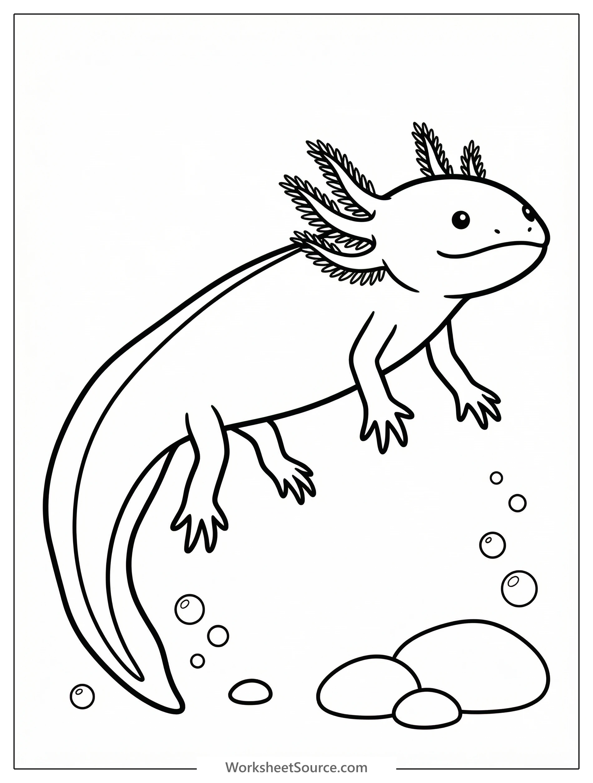Line art illustration of an anatomically correct axolotl, side view. Features three prominent gill pairs, wide head, four limbs with digits, long tail, and smooth skin outline.
