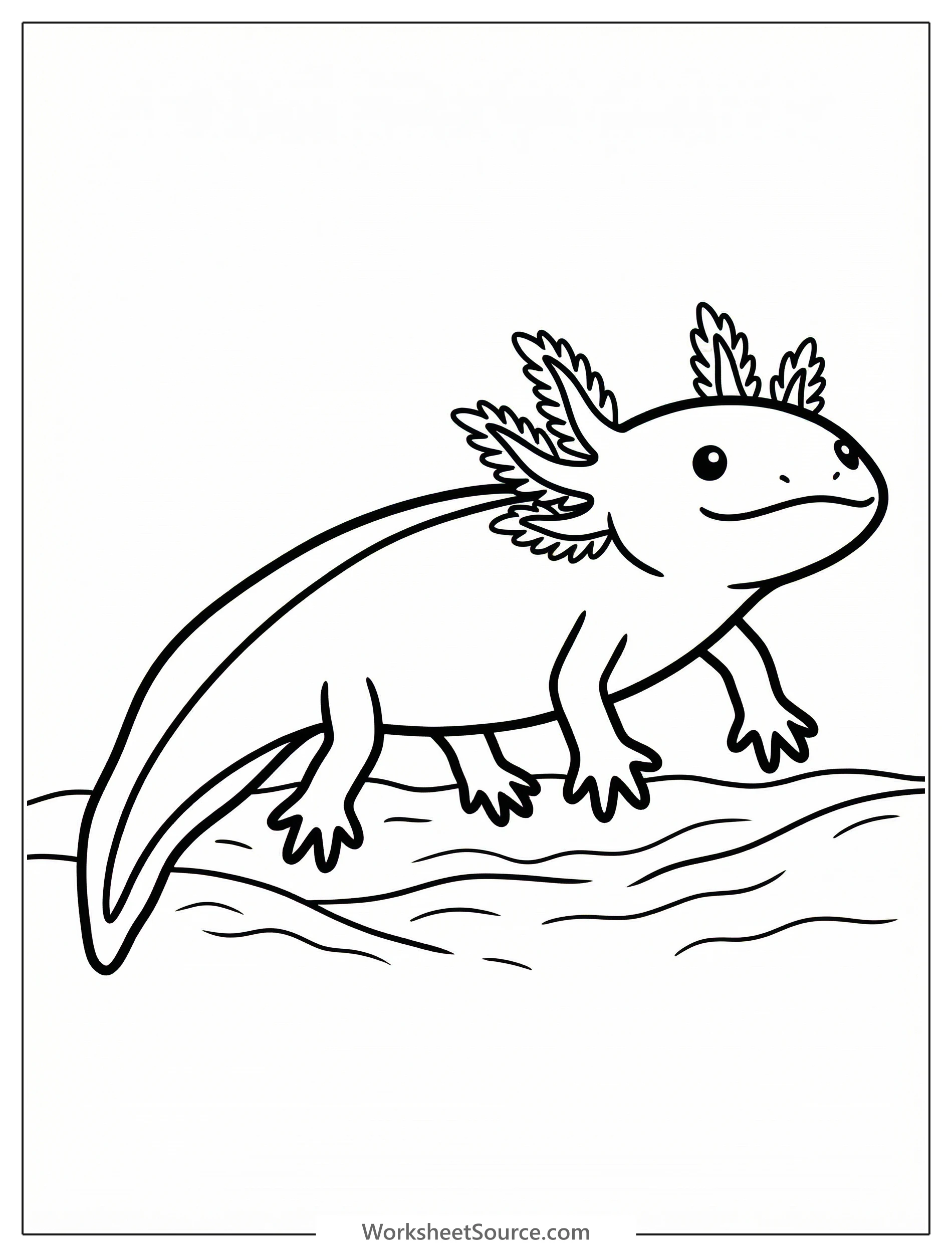 Line art coloring page showing an anatomically correct axolotl walking on rocky substrate with four distinct toes, a trailing tail, and feathery gills.