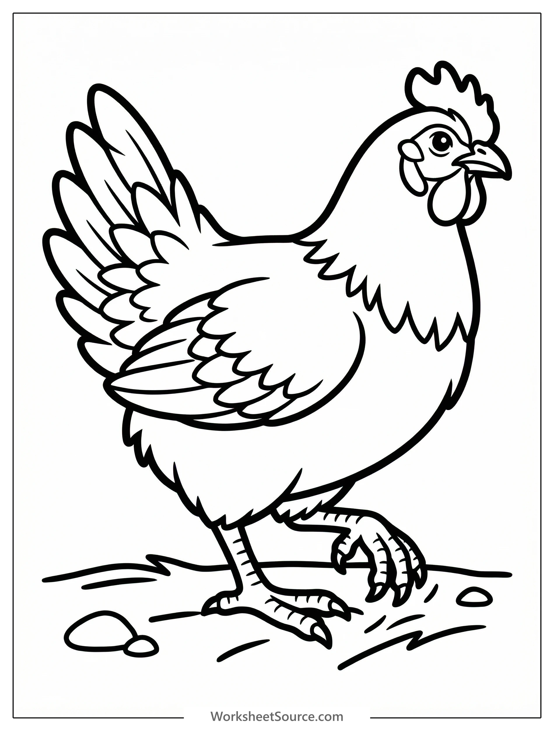 Illustration of an anatomically correct chicken with detailed feathers and comb, actively scratching the ground with its strong feet, seeking food.