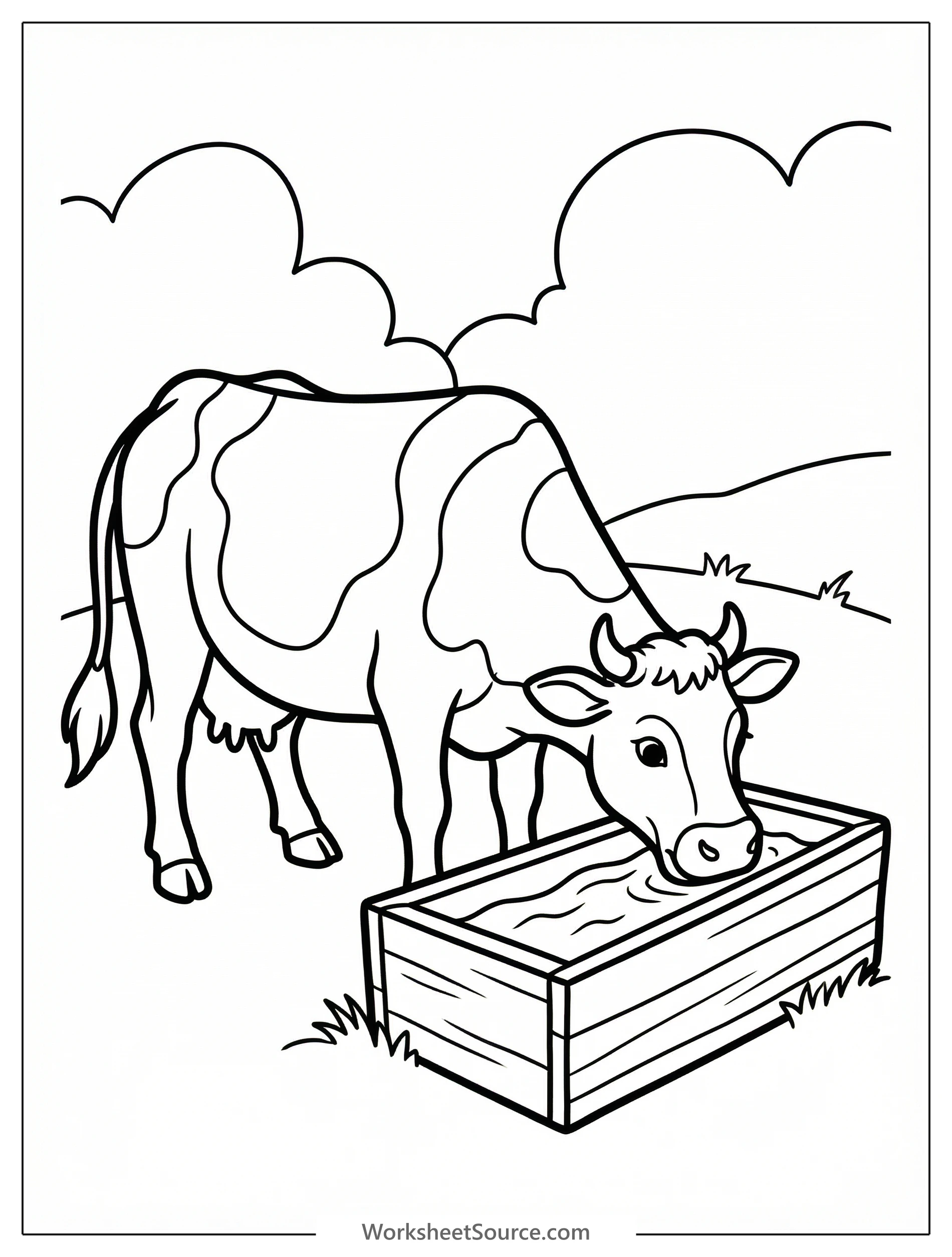 Anatomically correct cow coloring page showing a healthy cow drinking water from a natural stream or wooden trough in a grassy field.
