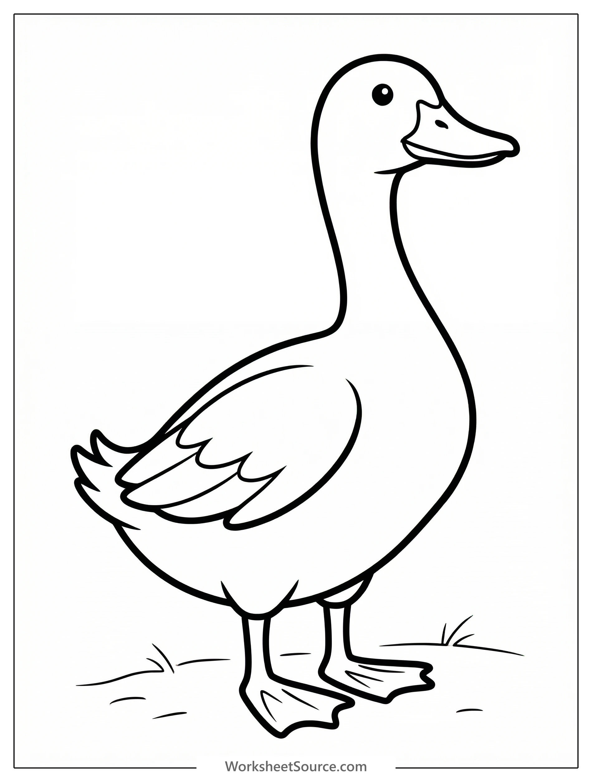 Anatomically correct drawing of a duck standing alert with its neck stretched upwards, featuring detailed feathers and webbed feet.