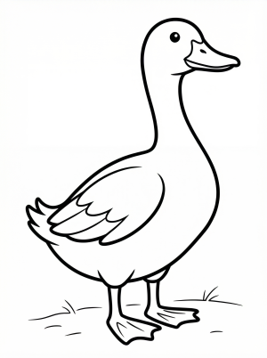 Anatomically correct drawing of a duck standing alert with its neck stretched upwards, featuring detailed feathers and webbed feet.