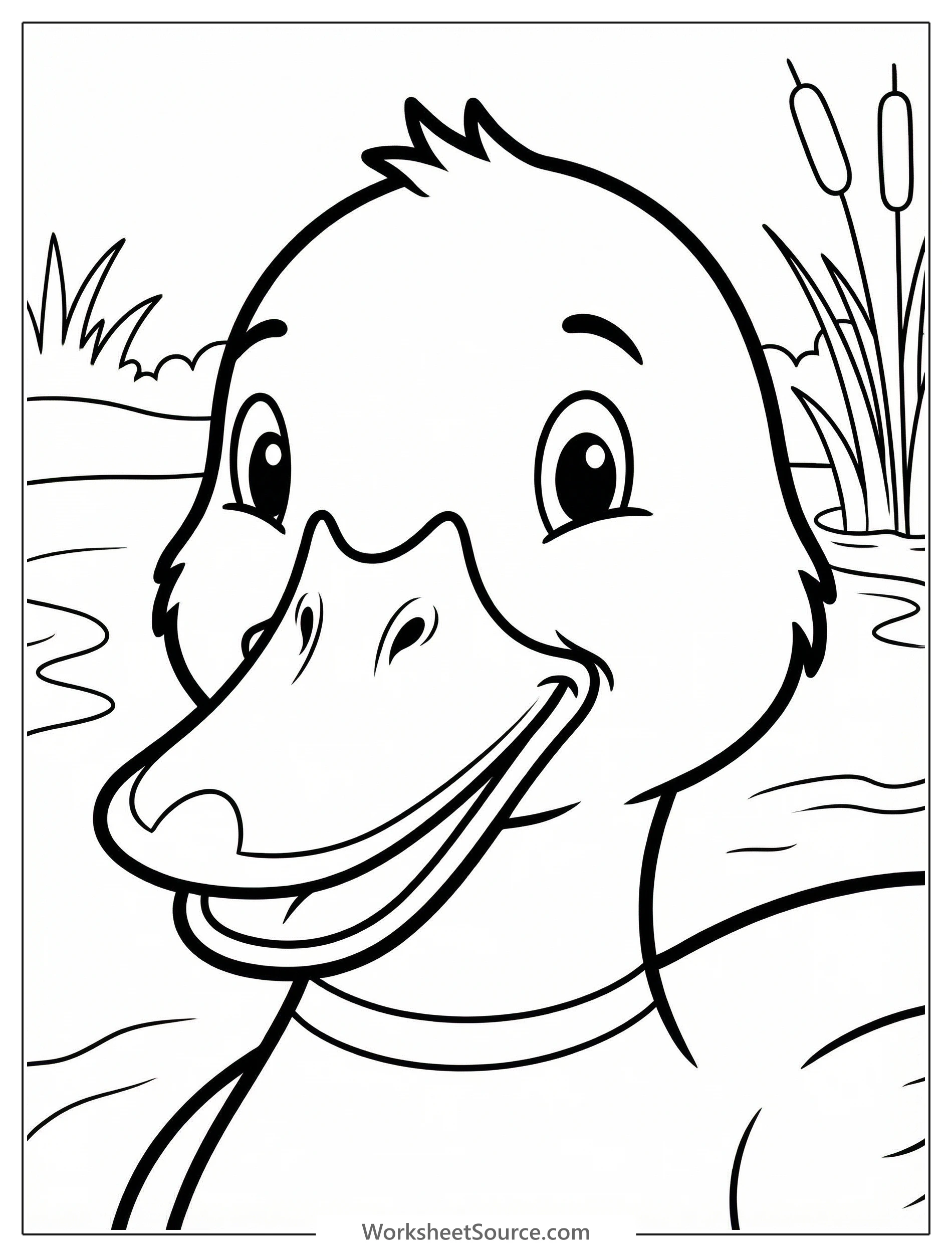 Close up of an anatomically correct duck's face, showing intricate details of its bill, nostrils, and eye, ready for coloring.