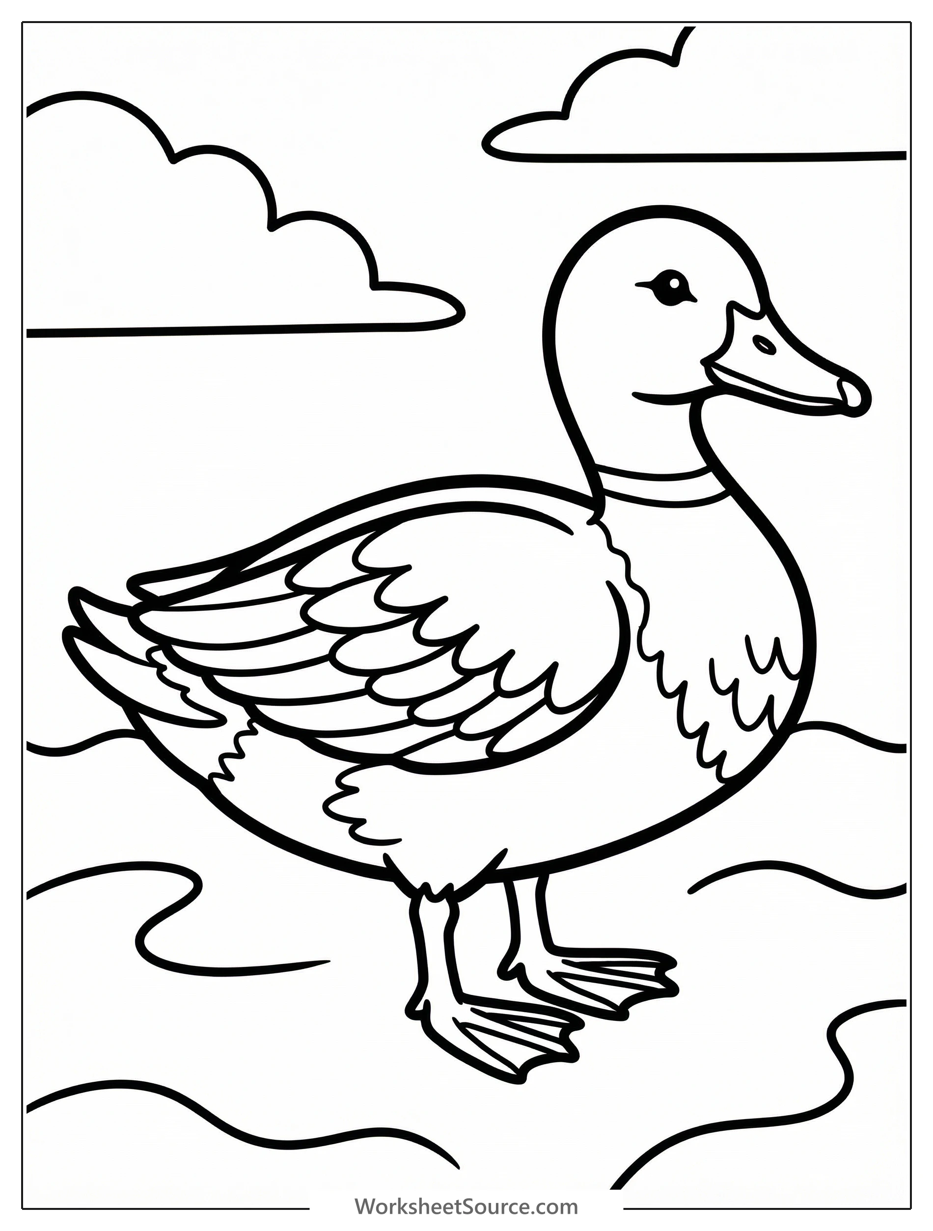 Line art illustration of an anatomically correct duck showing detailed wing and body feathers, ready for coloring.