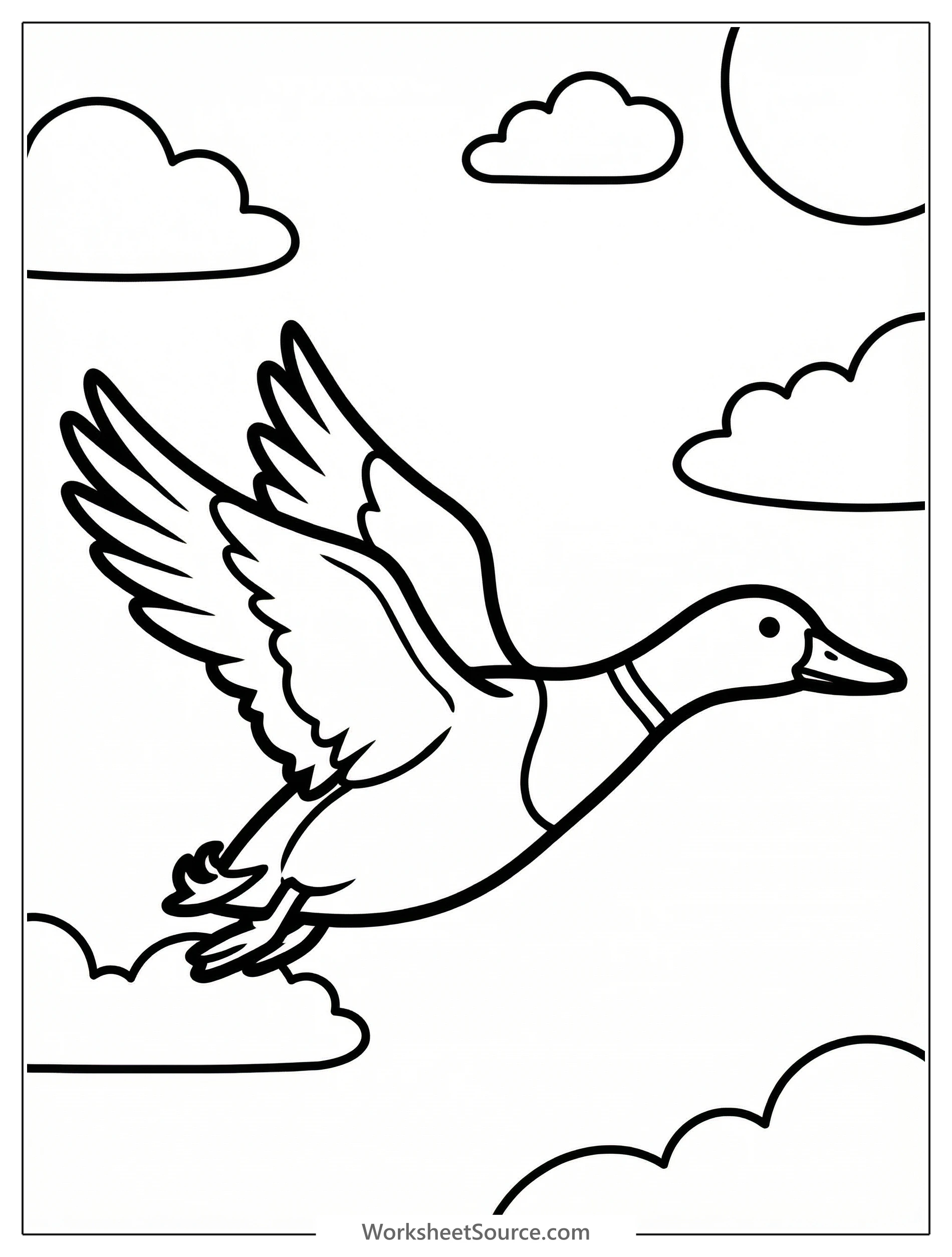 Anatomically accurate illustration of a duck in mid flight, wings fully extended upwards, neck stretched forward, showing feathered details.
