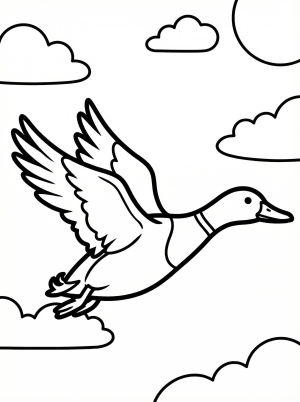 Anatomically accurate illustration of a duck in mid flight, wings fully extended upwards, neck stretched forward, showing feathered details.