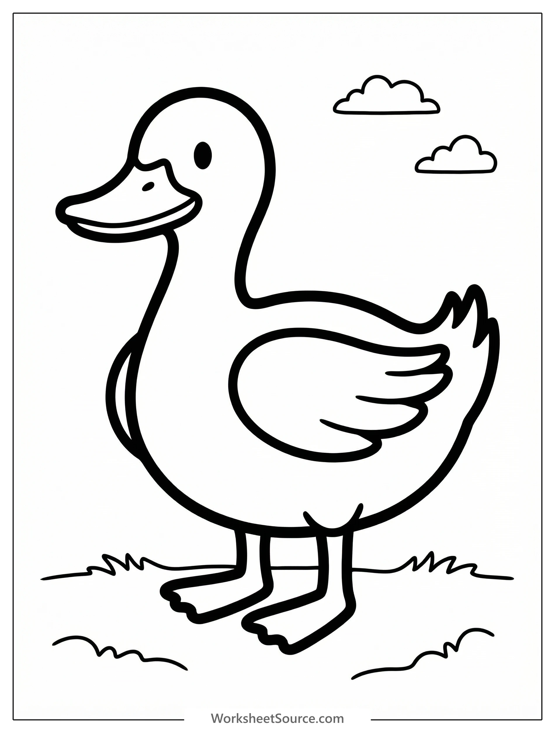 Line drawing of an anatomically correct full body duck showing its head, bill, eye, body, wings, tail, legs, and webbed feet in profile view.
