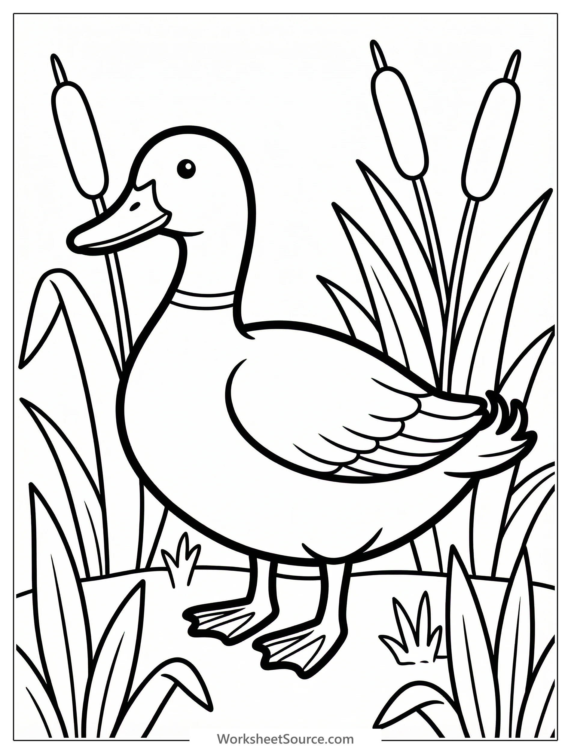Anatomically correct line art of a mallard duck swimming among tall reeds and marsh plants, featuring detailed feathers and natural surroundings.