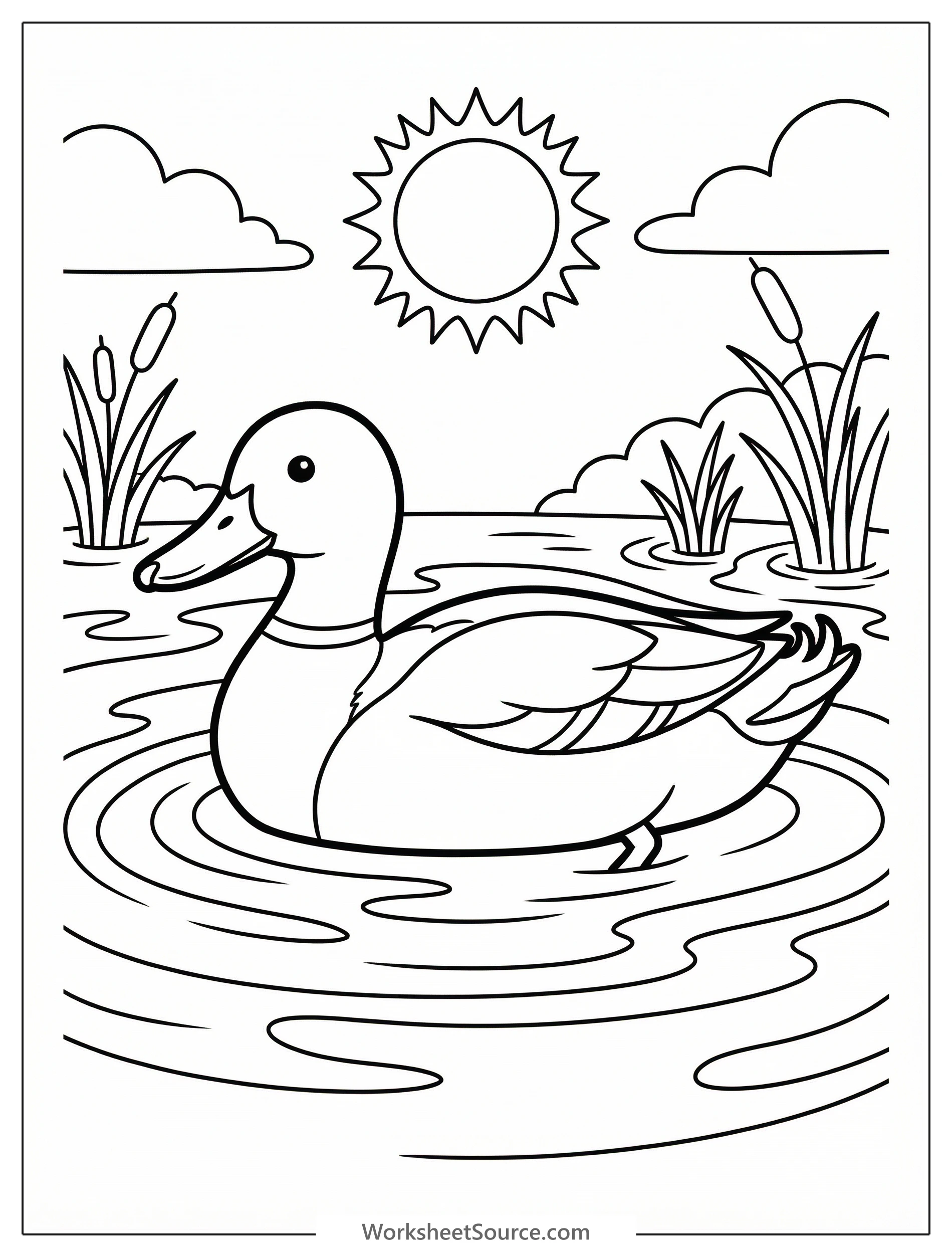 Anatomically correct duck floating peacefully on calm water, illuminated by warm sunlight, casting gentle reflections on the surface.