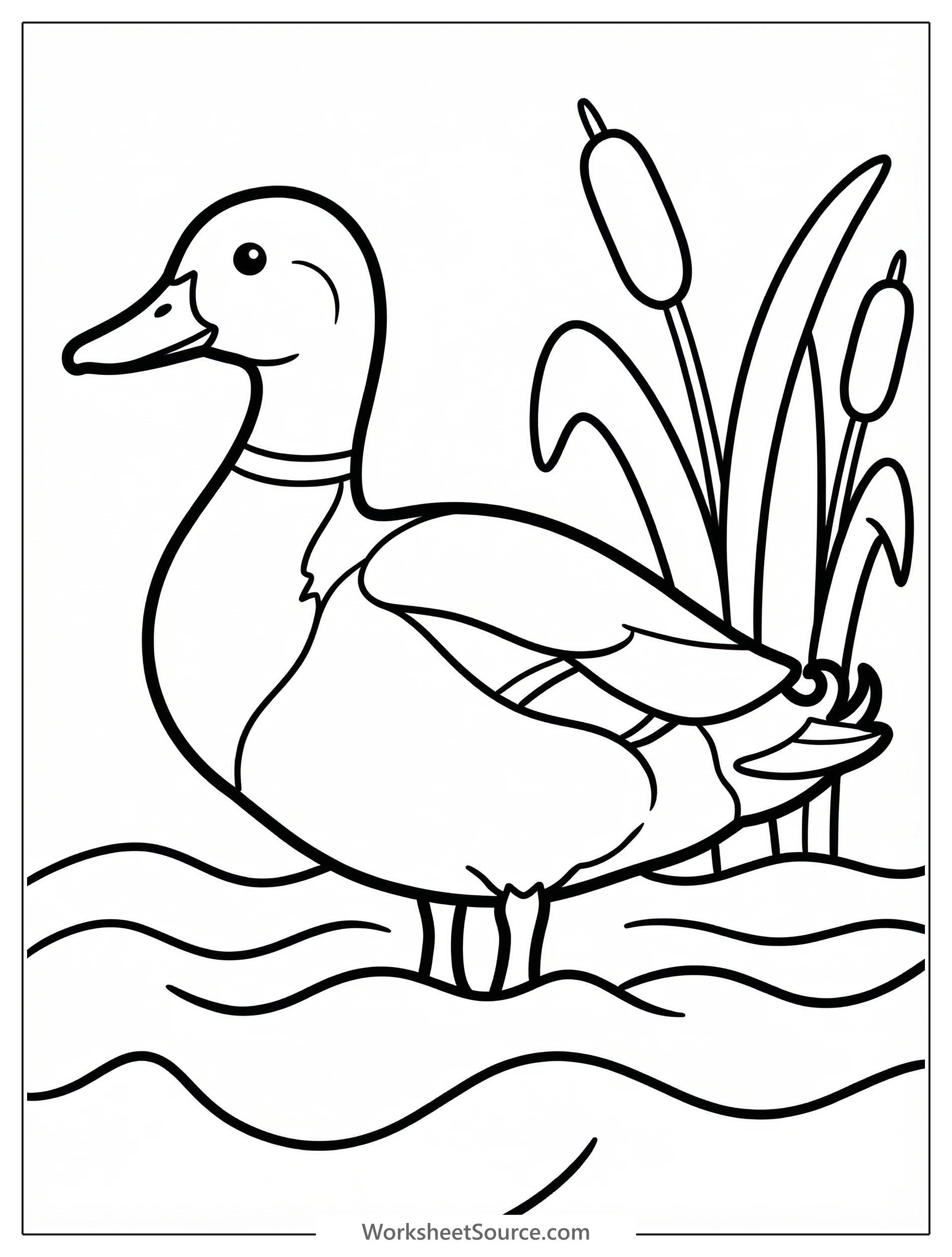Outline of an anatomically accurate male mallard duck, featuring a distinct green head, white neck ring, chestnut breast, and yellow bill.