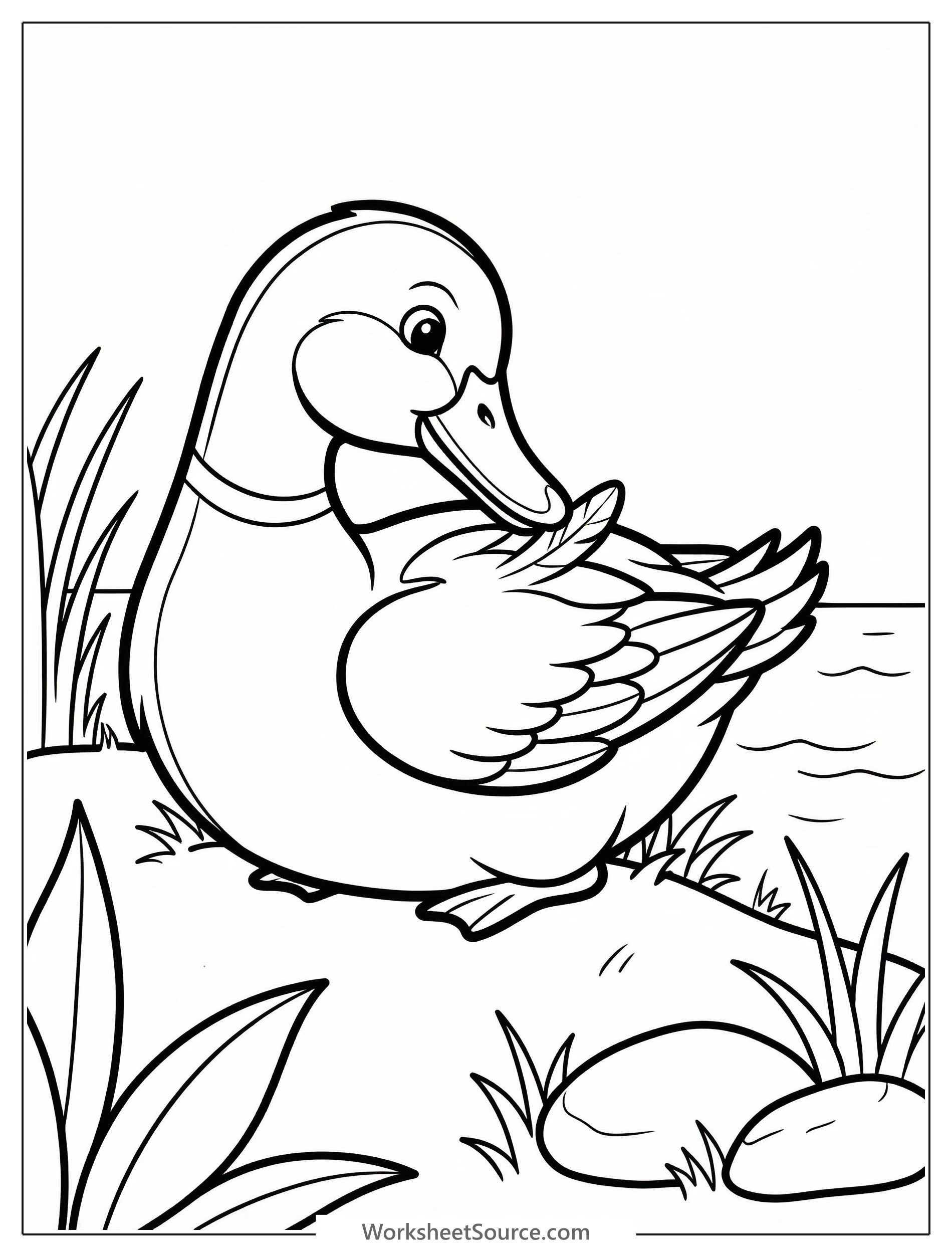 Outline of an anatomically correct duck with a realistic bill, head tilted back, preening feathers on its back. Designed for coloring.