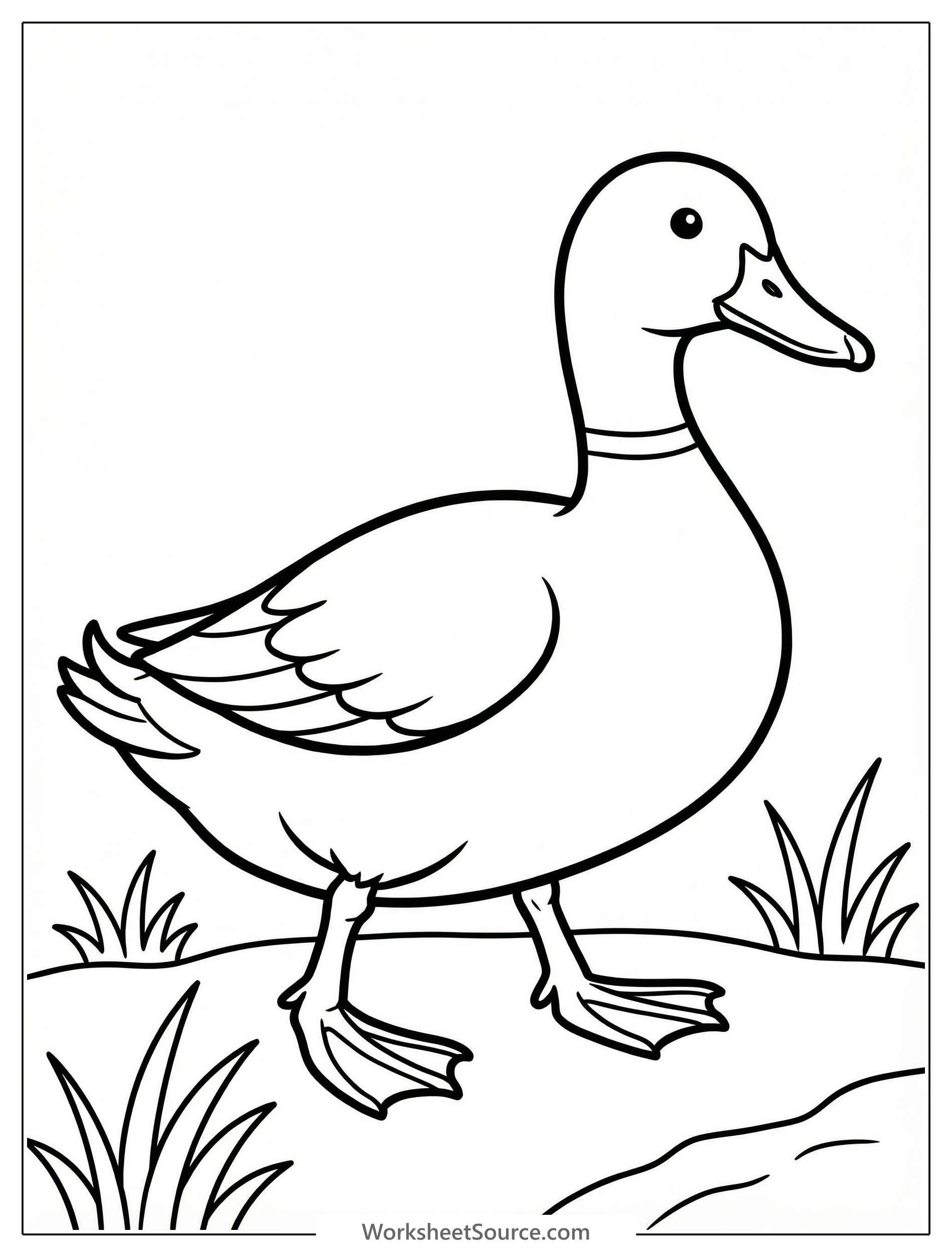 Anatomically accurate cartoon duck waddling on green grass, showing its distinct legs and webbed feet designed for both land and water movement.