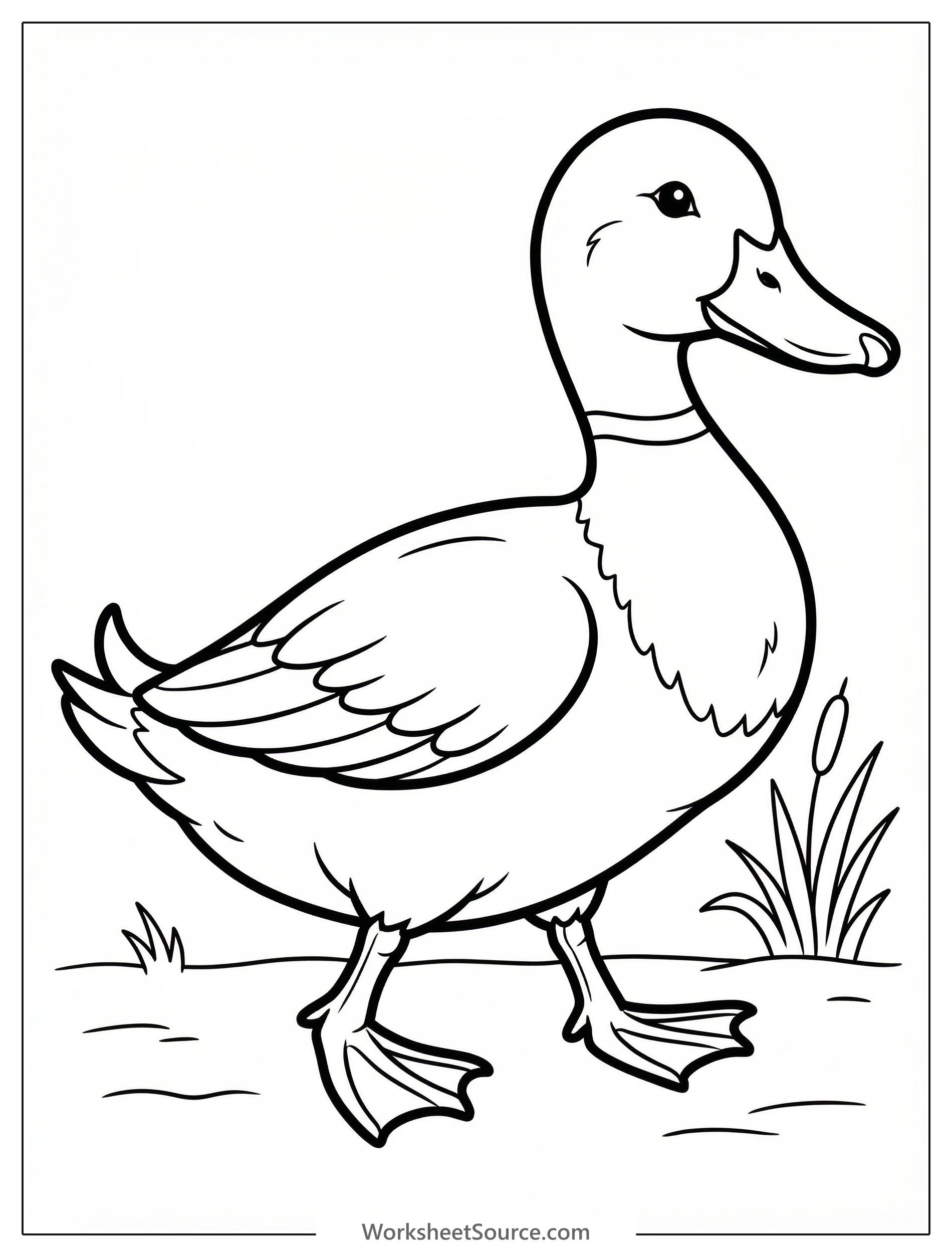 Anatomically correct outline drawing of a duck walking with its webbed feet splayed, showing a slight body sway. Ready for coloring.