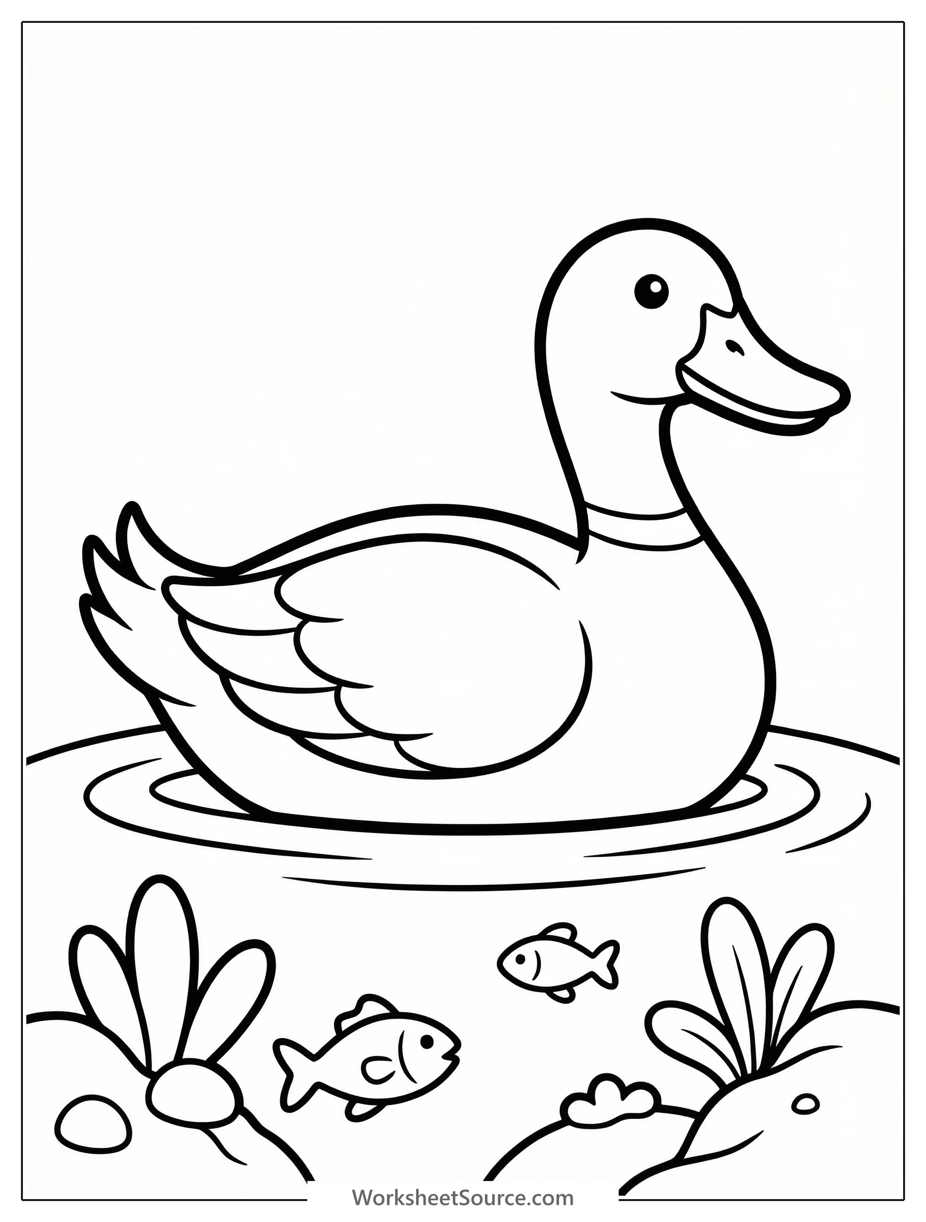 Anatomically accurate drawing of a duck swimming in clear water with a small fish, surrounded by aquatic plants and underwater stones.