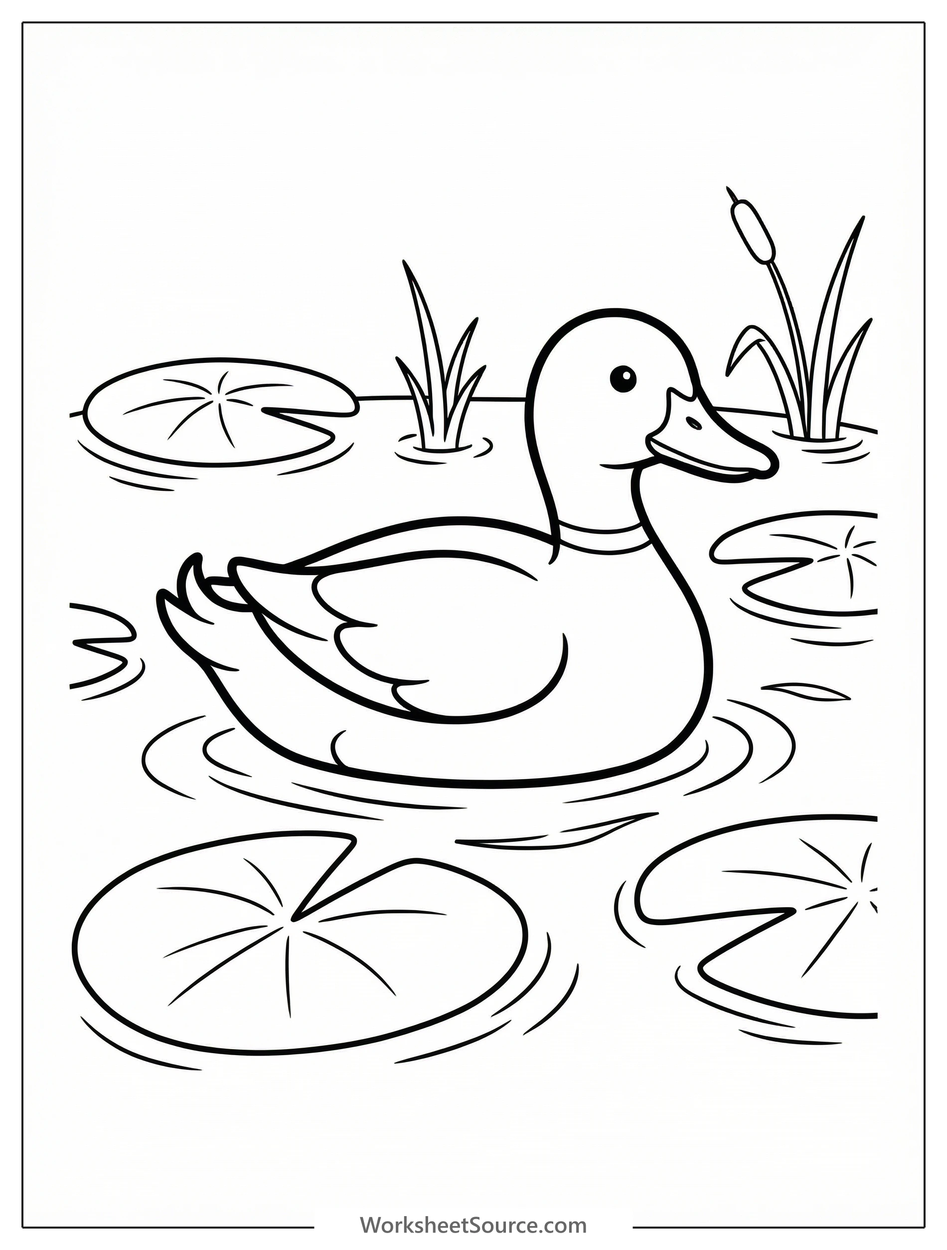 An anatomically accurate duck swims serenely among detailed lily pads in a tranquil pond scene, perfect for educational coloring.