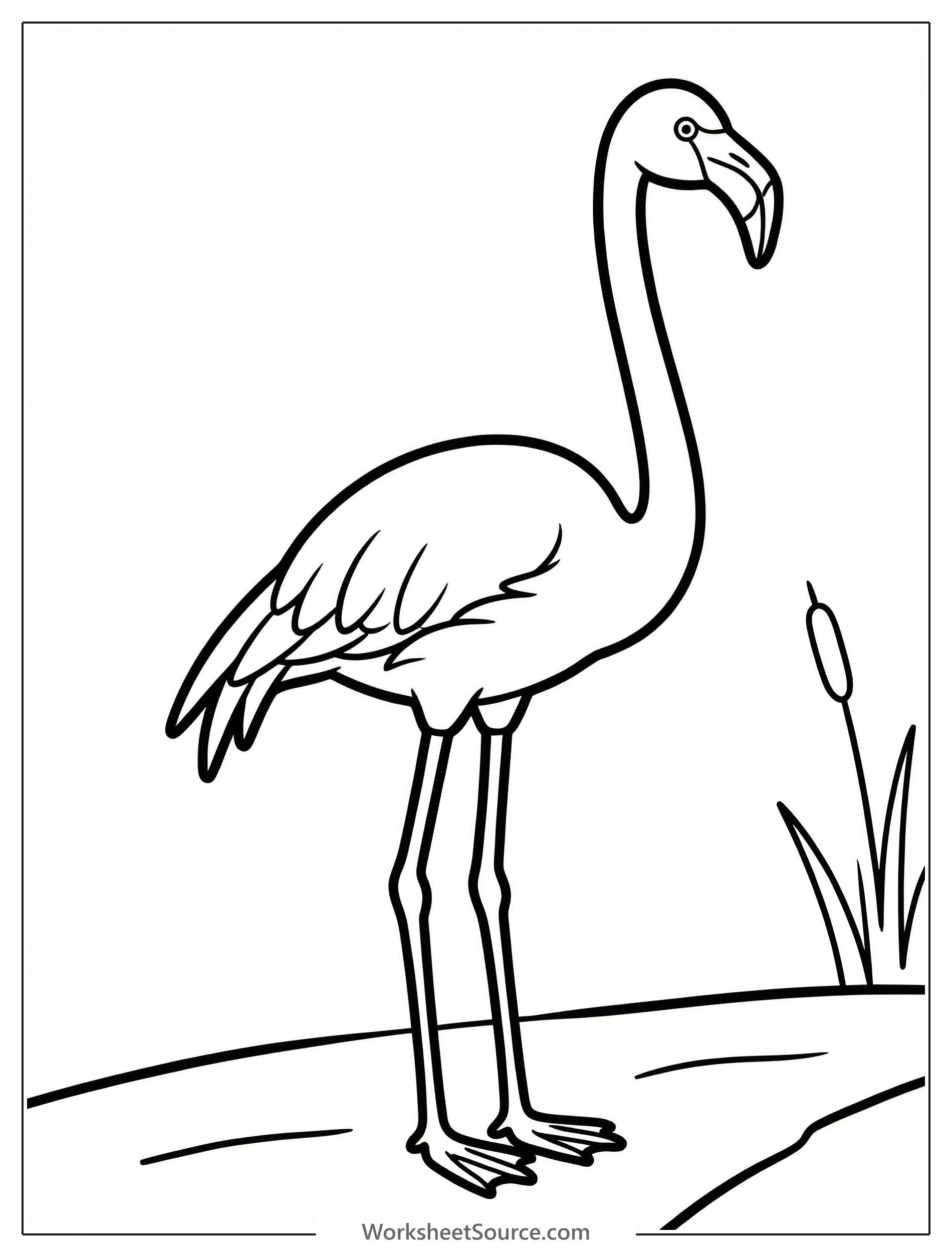 Detailed line art of a graceful flamingo standing alert with its long neck straight, depicting accurate anatomy for educational coloring.