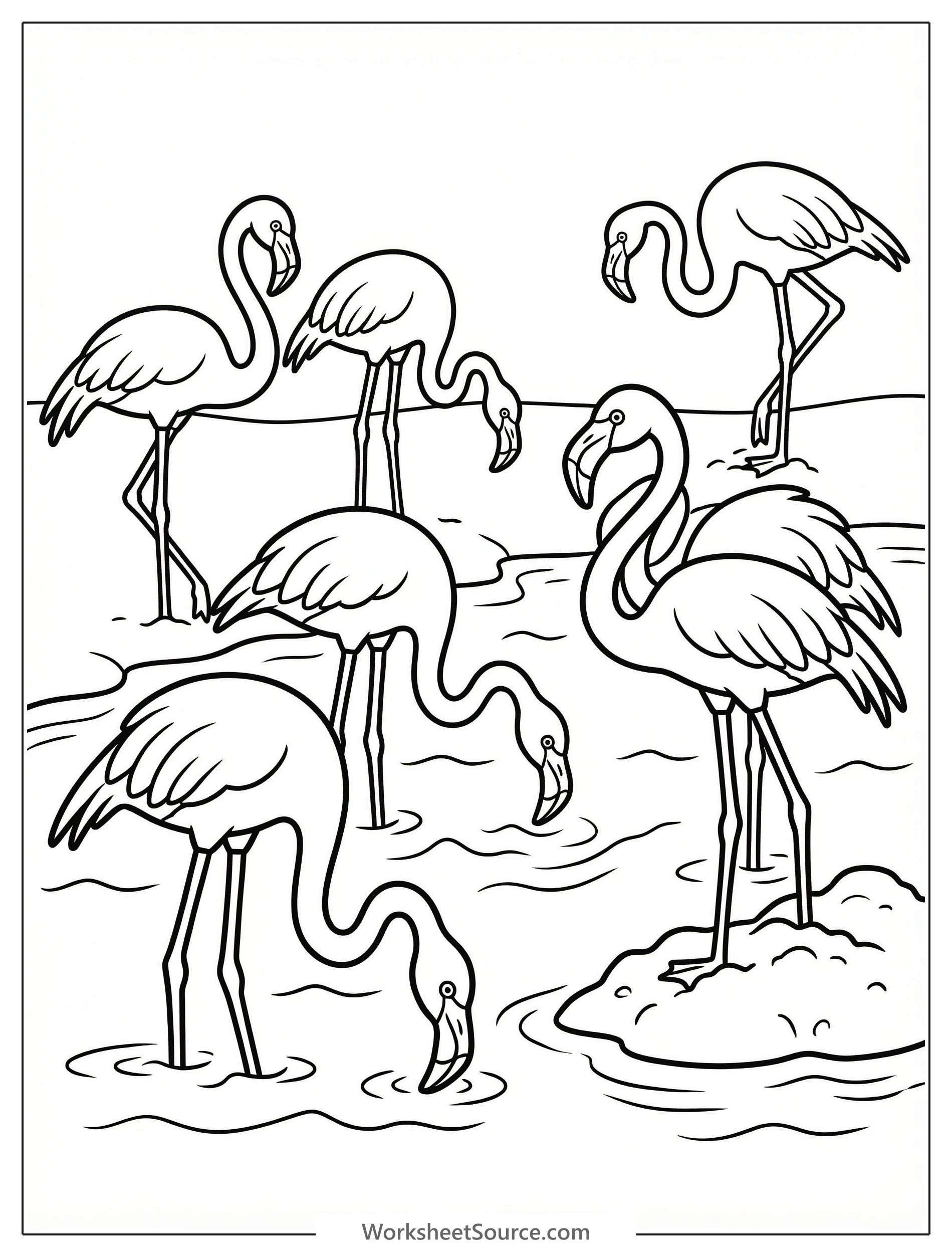 An anatomically correct illustration of a flamingo colony in shallow water, showing multiple flamingos with long legs, curved necks, and distinct feeding postures.