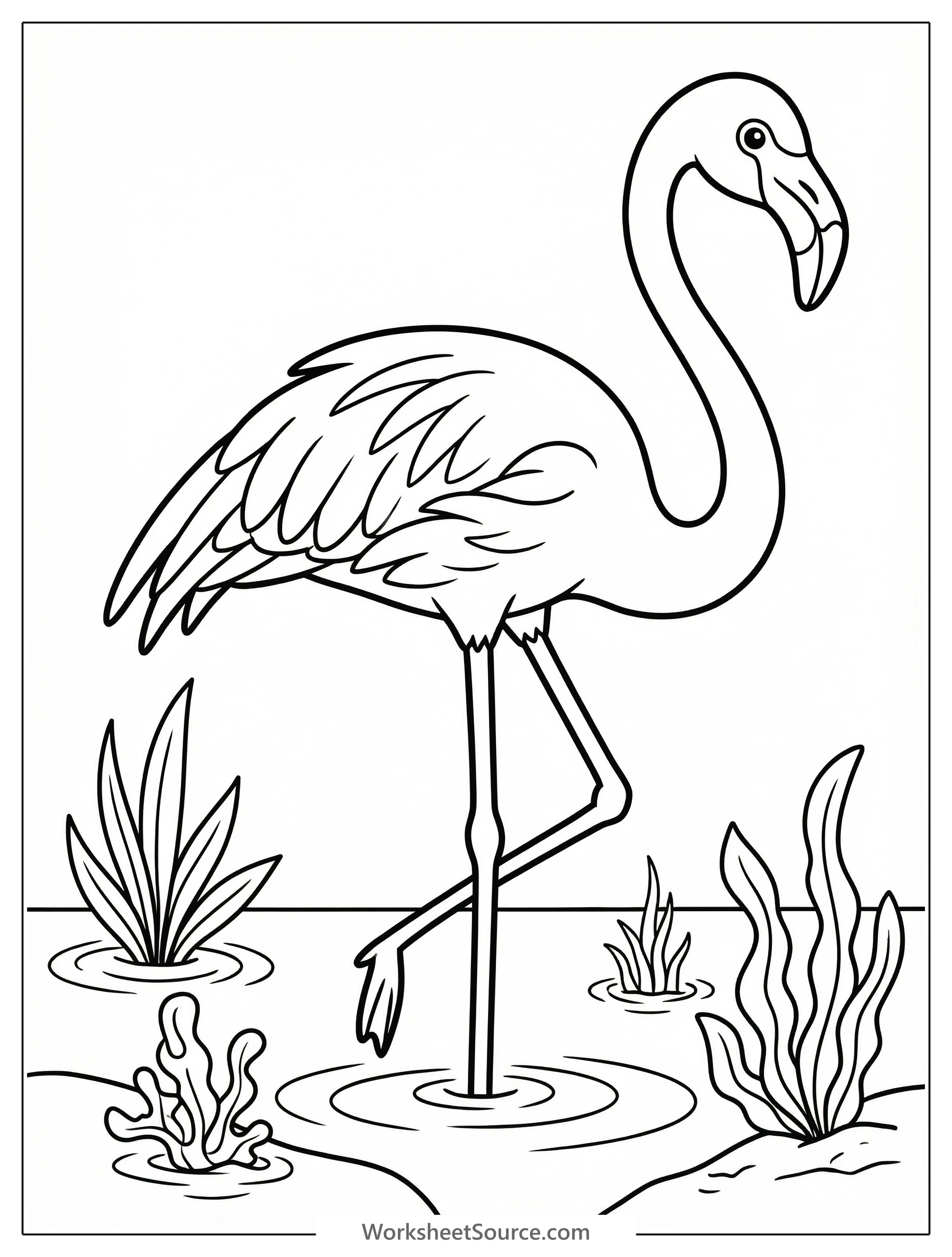 Black and white outline of an anatomically correct flamingo standing gracefully in shallow water, surrounded by various detailed algae and aquatic plants.