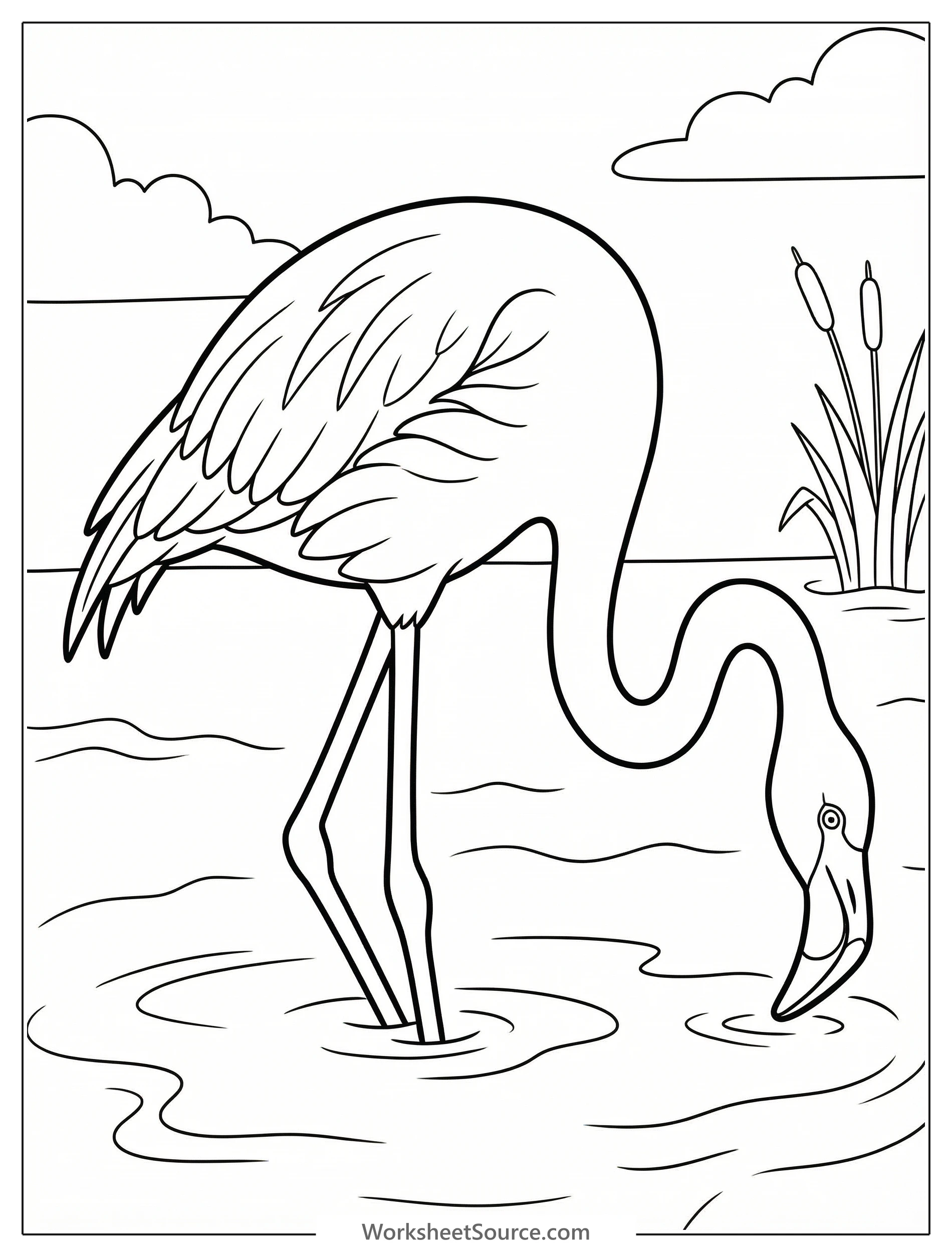 Outline drawing of an anatomically correct flamingo standing in shallow water, featuring its signature S-curved neck and distinct bent bill.