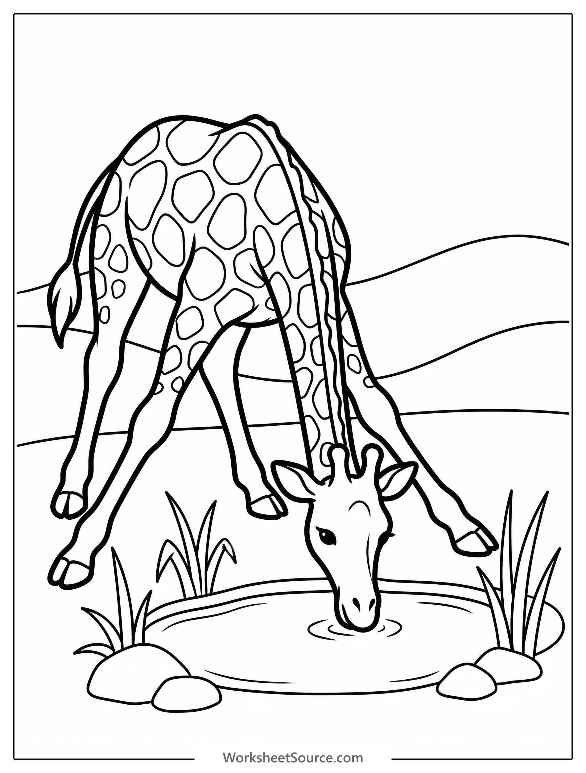 A tall, majestic giraffe with its long legs spread wide, bending down to drink water from a peaceful watering hole in the savanna.