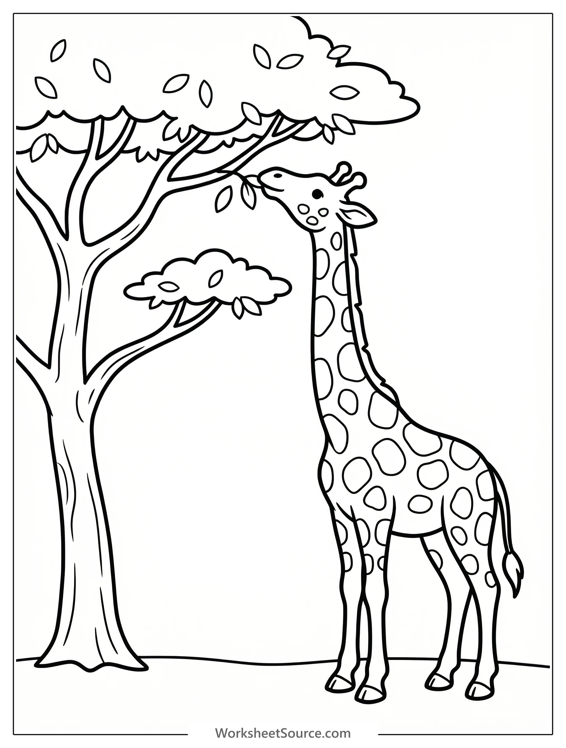A tall giraffe with distinctive spots extends its long neck upwards to eat green leaves from a high branch of a spiky acacia tree against a clear sky.
