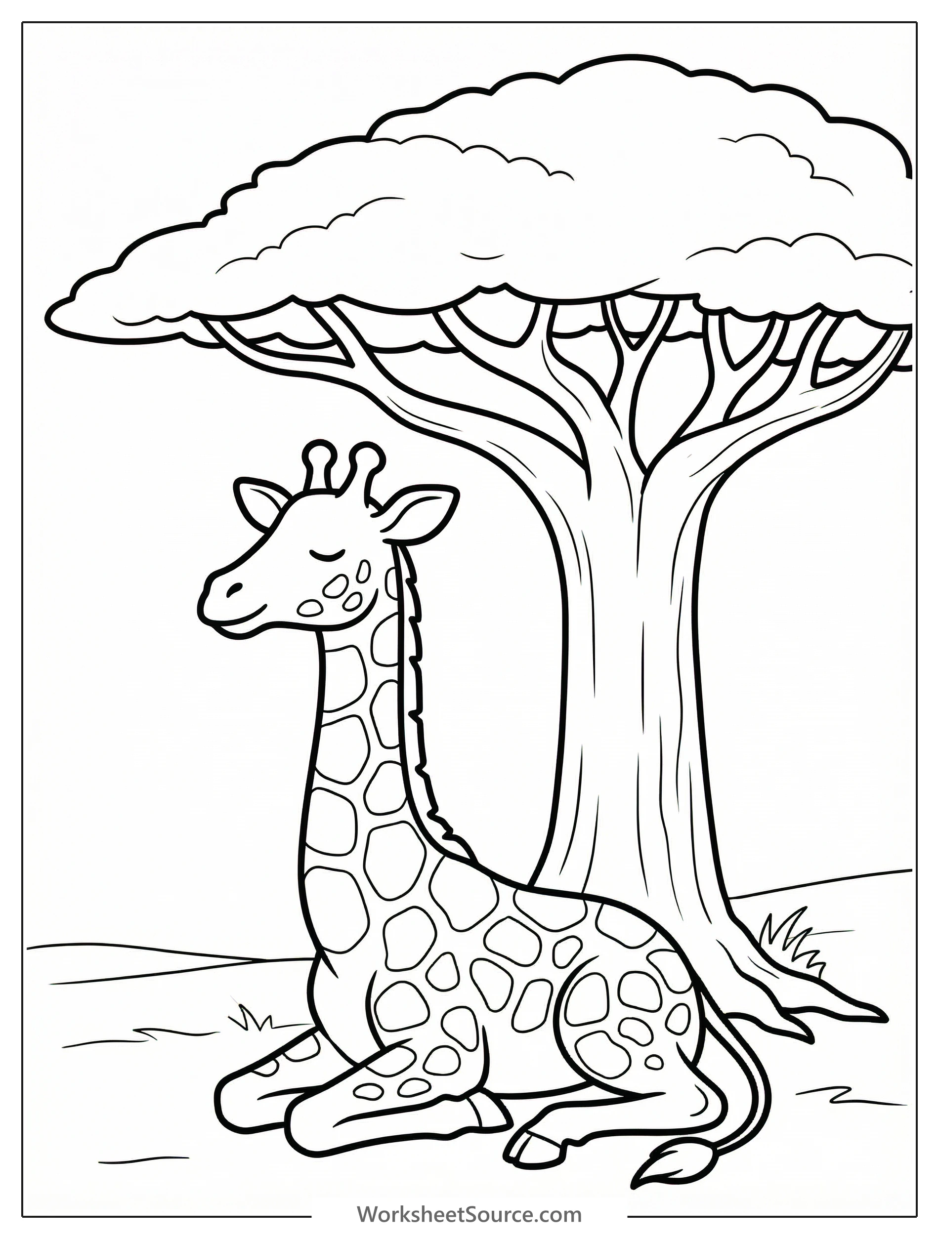 A gentle giraffe rests peacefully in the cool shade of a large, spreading acacia tree with distinctive flat top foliage, amidst a savannah landscape.