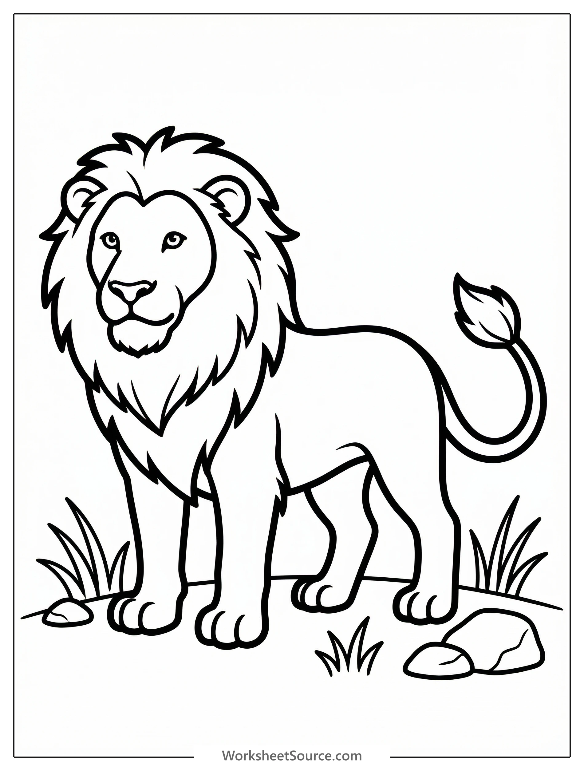 Outline of an anatomically correct adult male lion standing on all four legs with its tail, ready for coloring by young artists.