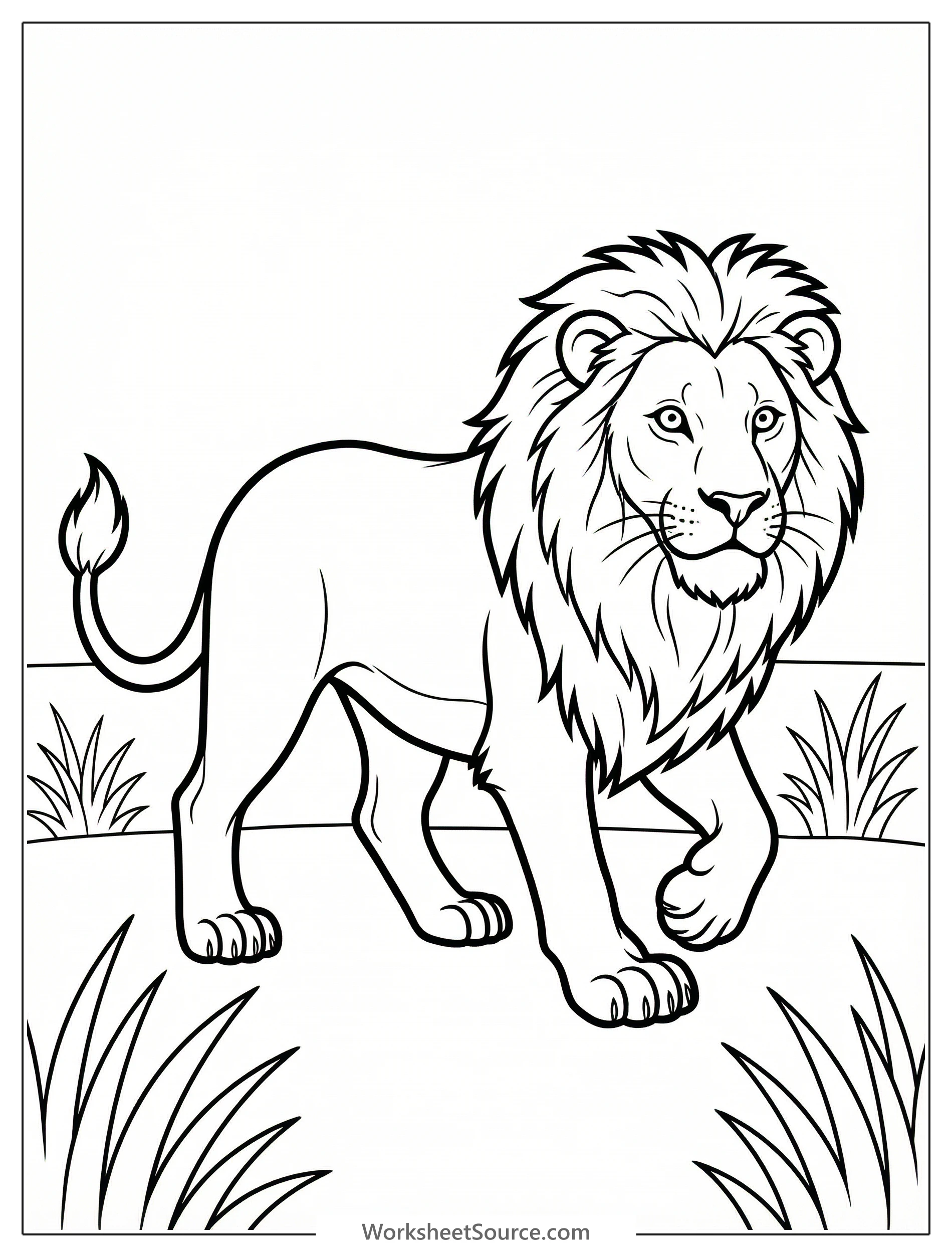 Anatomically correct male lion standing majestically in a flat, open savanna grassland with no trees, ready for coloring.