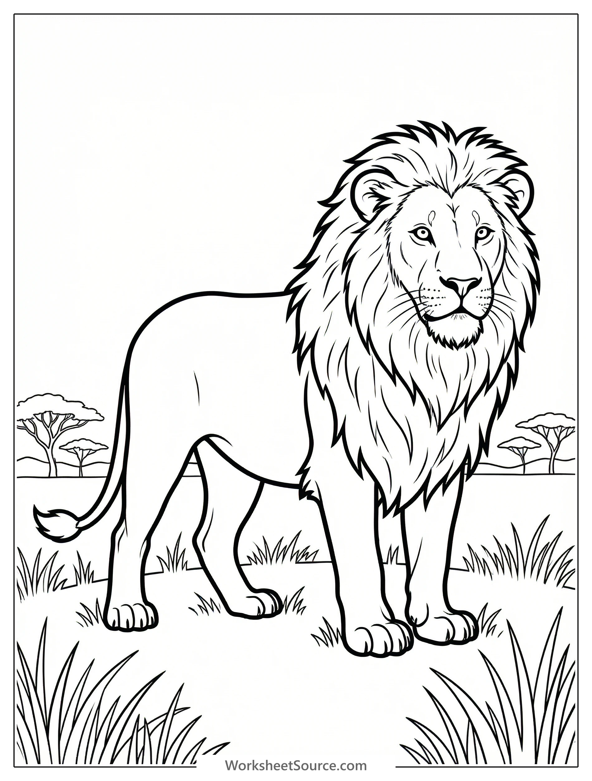 Anatomically correct adult male lion standing majestically in tall savanna grass, with acacia trees visible in the distant background.