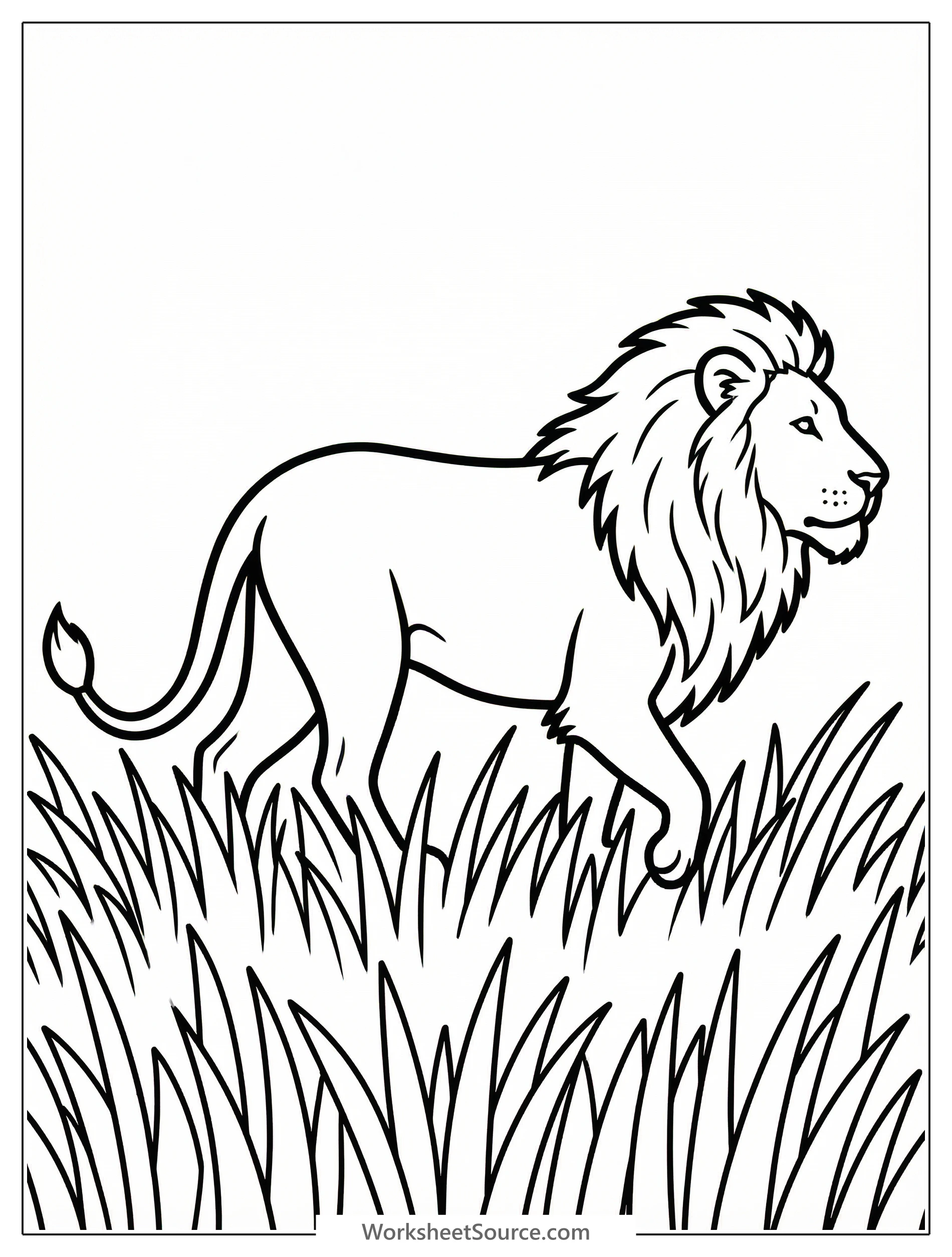 An anatomically correct adult male lion, with a full mane and powerful back visible, strides through tall, wispy savanna grass. The detailed image is ready for coloring.
