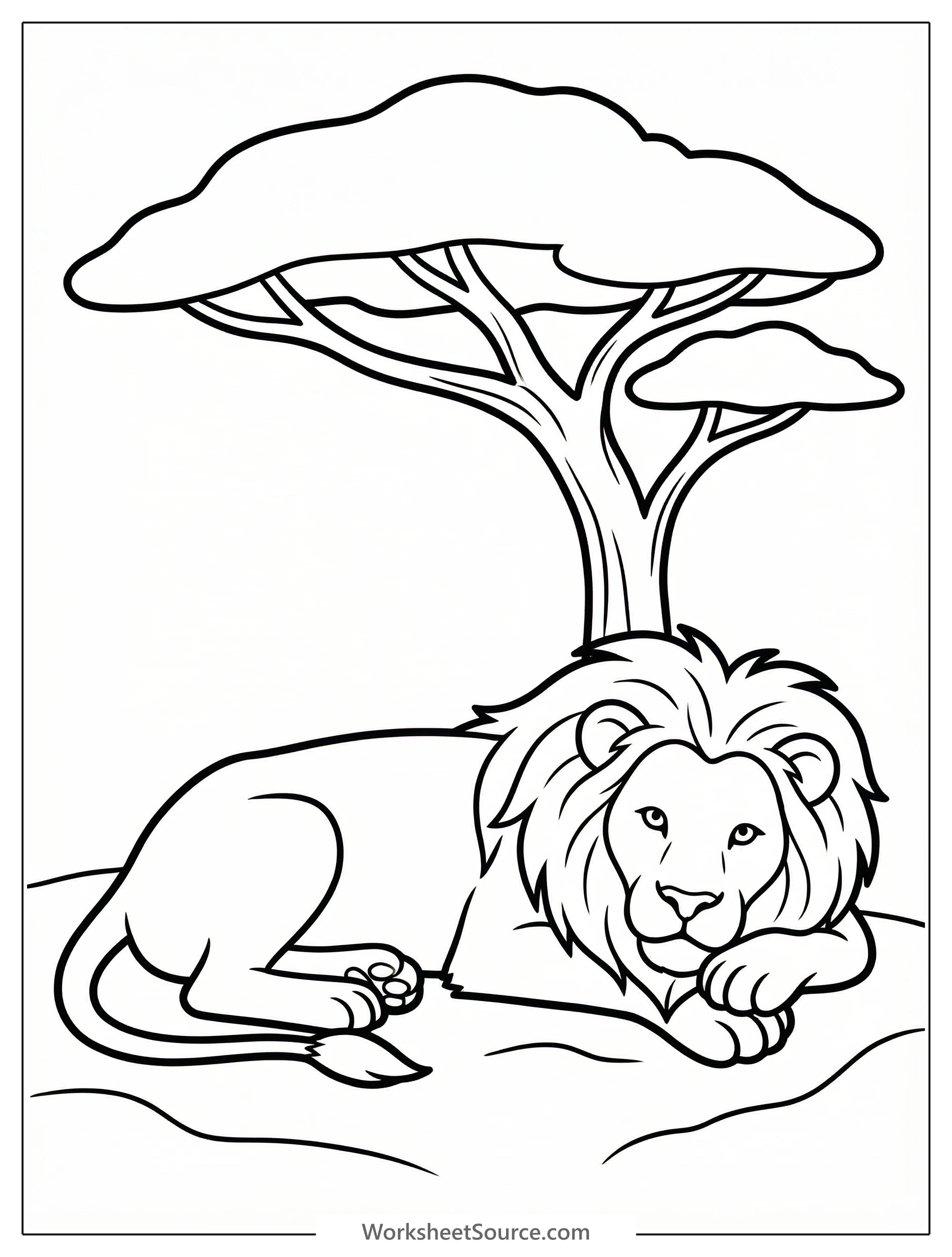 Anatomically correct adult lion peacefully resting in the cool shade beneath a sprawling acacia tree on the savannah, ideal for coloring.