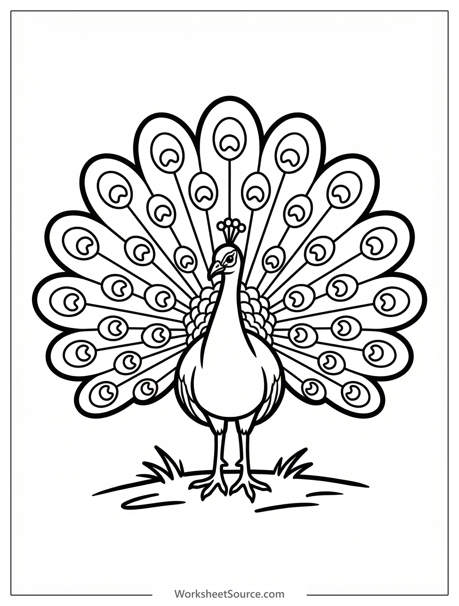 Detailed coloring page of an anatomically correct peacock shown from the front, displaying its full, magnificent tail fan of feathers.