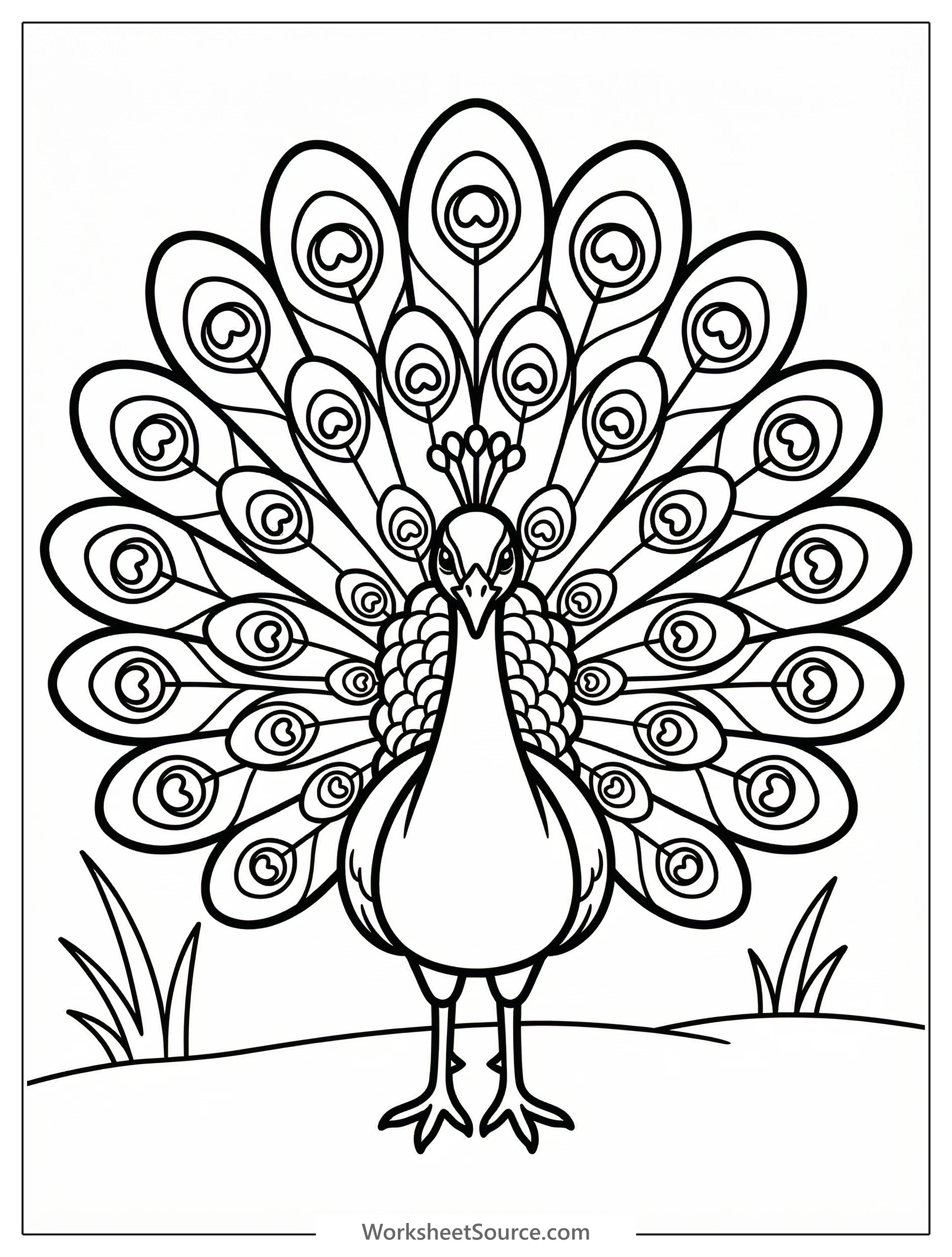 Close up of an anatomically correct peacock tail feather, featuring intricate details and vibrant, distinct eye spots for coloring.