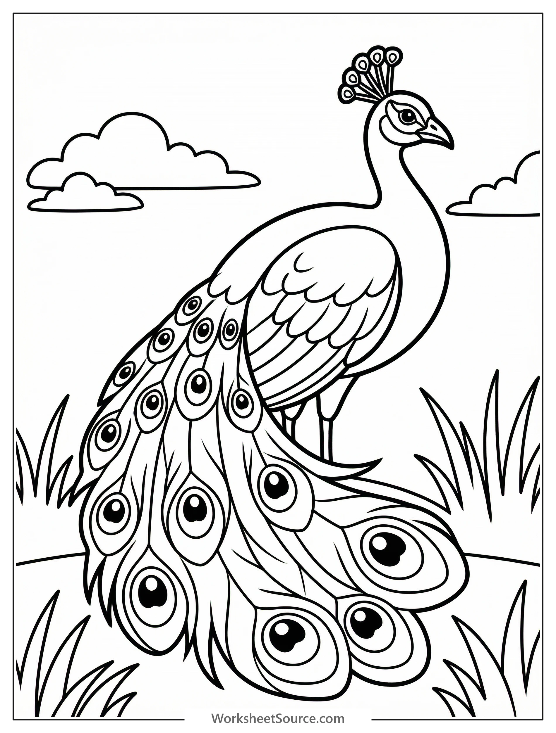 Outline illustration of an anatomically correct white peacock standing with its tail feathers fanned, featuring distinct eye spots.