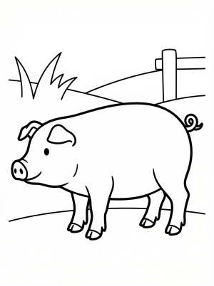 Black and white outline drawing of an anatomically correct pig standing in a classic farm animal pose, ready for coloring.