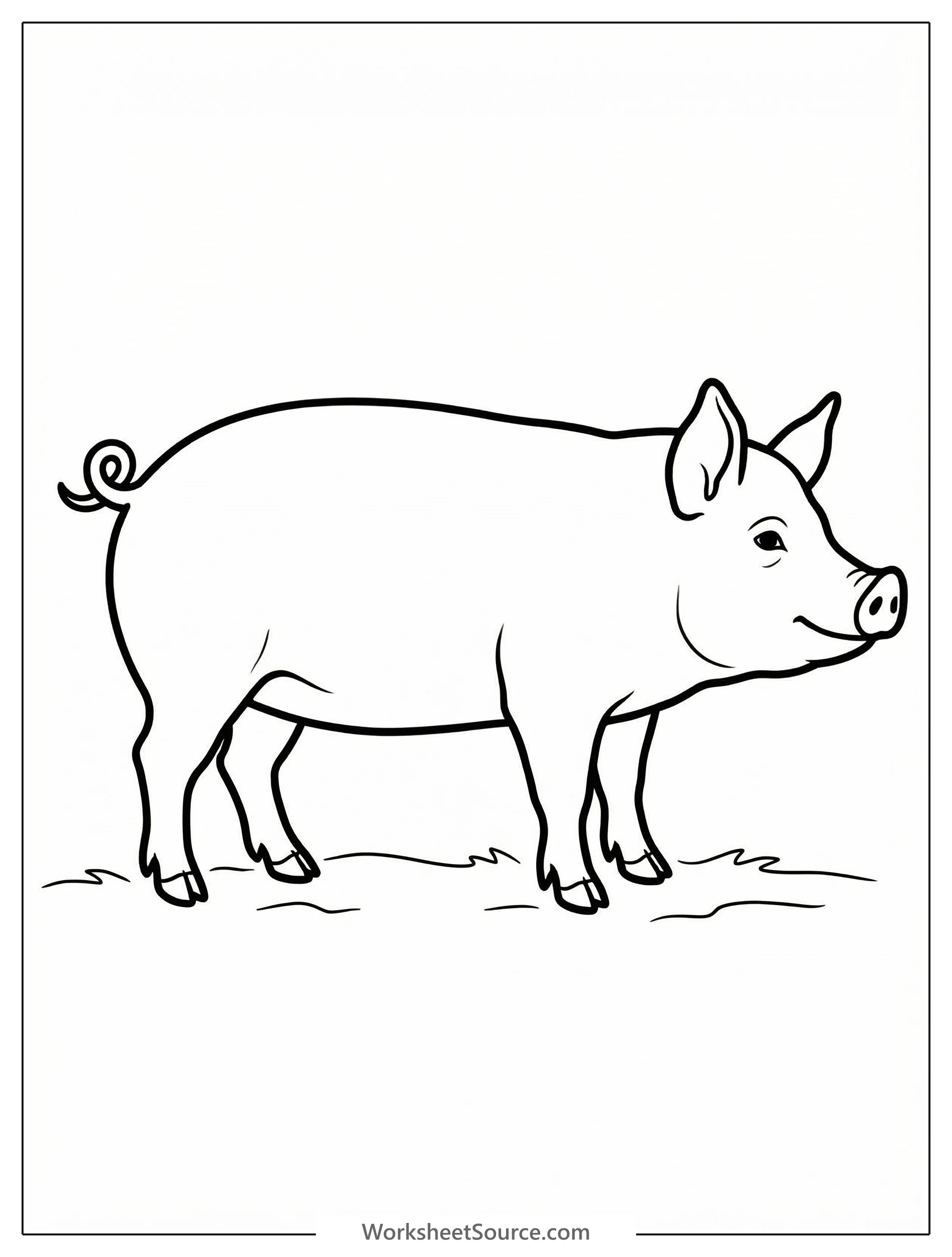 Detailed side profile illustration of an anatomically correct pig with body proportions clearly visible and a distinct curly tail, perfect for coloring.