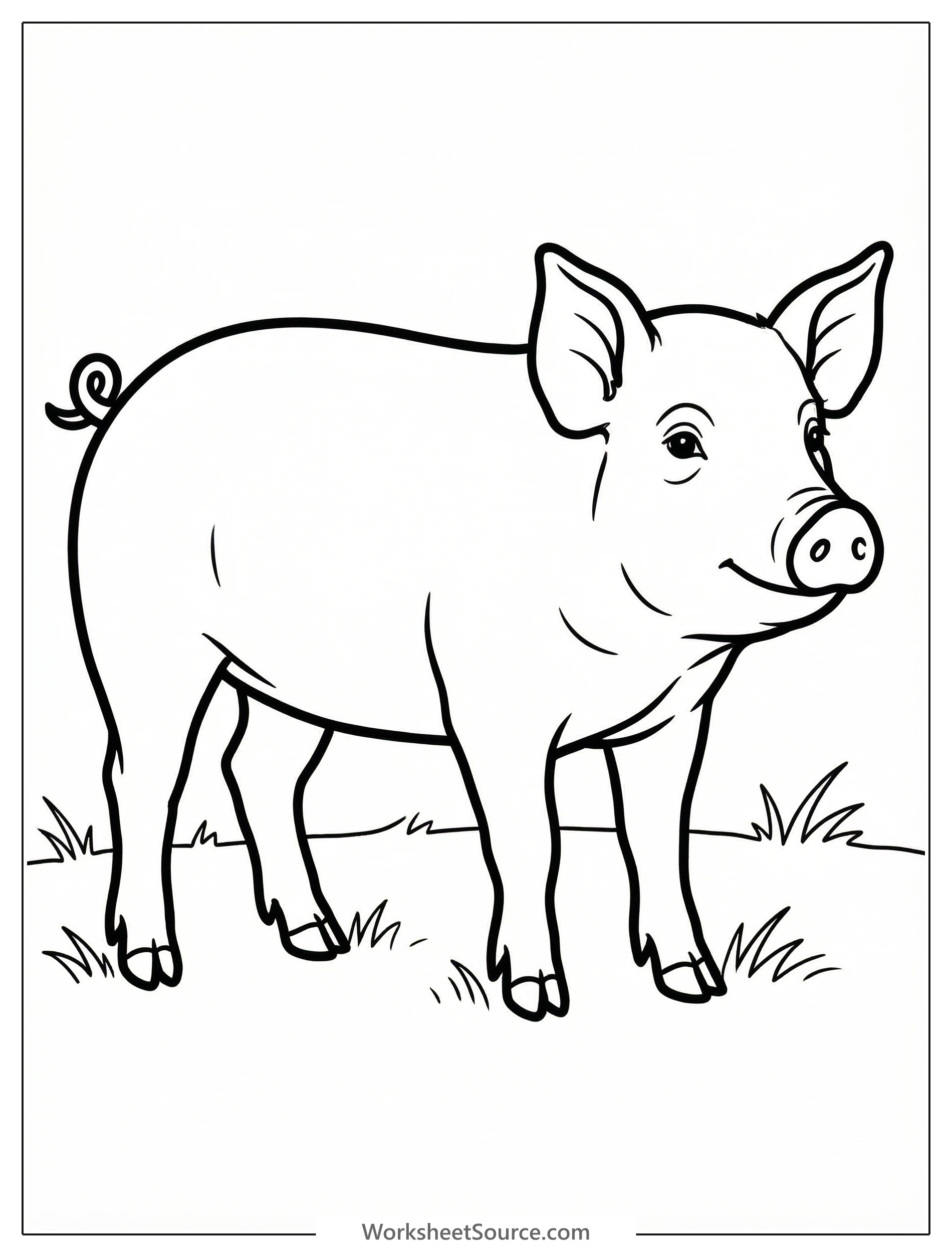 Line art drawing of an anatomically correct pig standing on all four legs in a balanced, realistic pose, ready for coloring.
