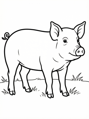 Line art drawing of an anatomically correct pig standing on all four legs in a balanced, realistic pose, ready for coloring.