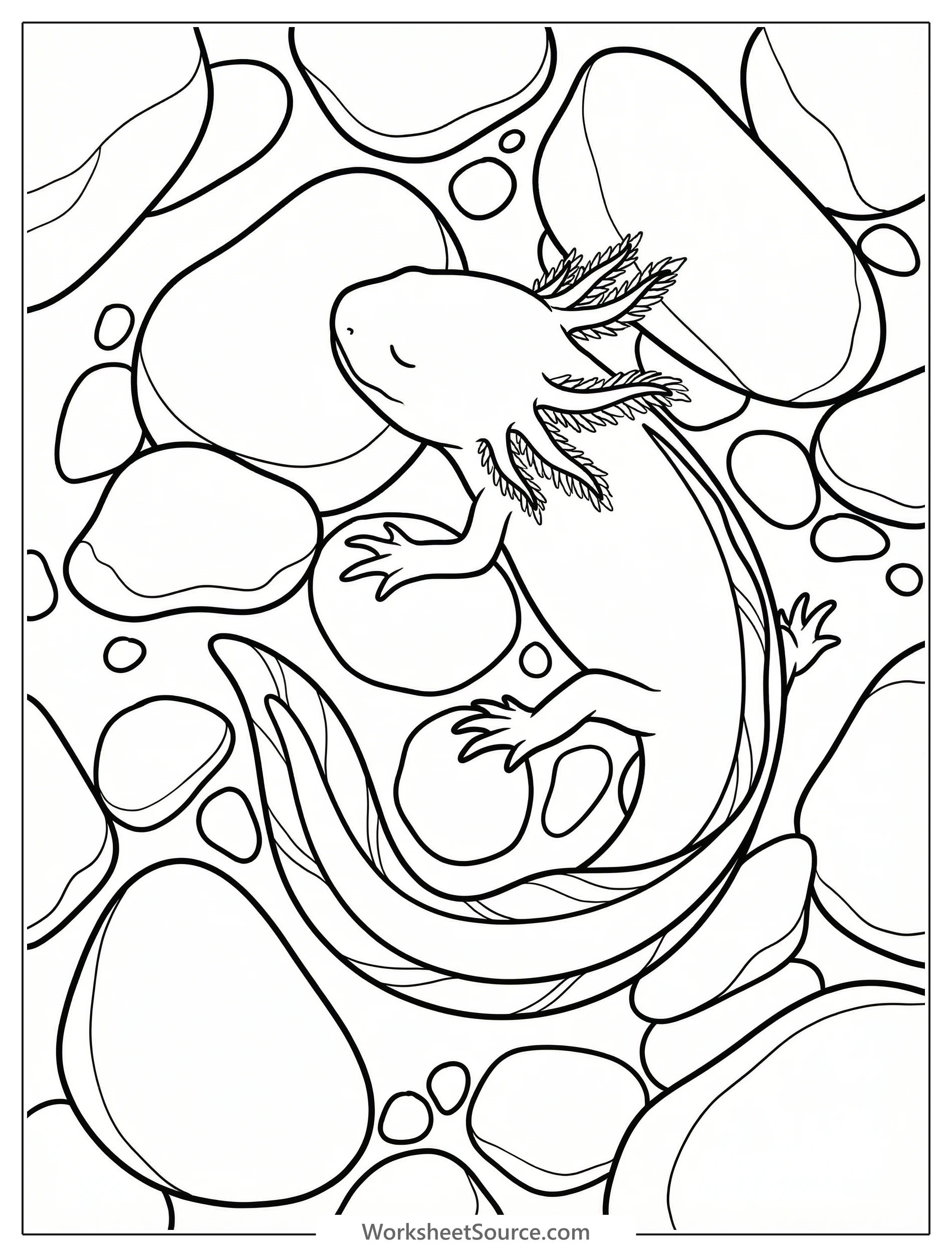 Detailed line art coloring page depicting an anatomically correct axolotl sleeping peacefully on aquarium gravel, showcasing its full gill and limb anatomy.