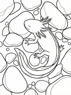 Detailed line art coloring page depicting an anatomically correct axolotl sleeping peacefully on aquarium gravel, showcasing its full gill and limb anatomy.