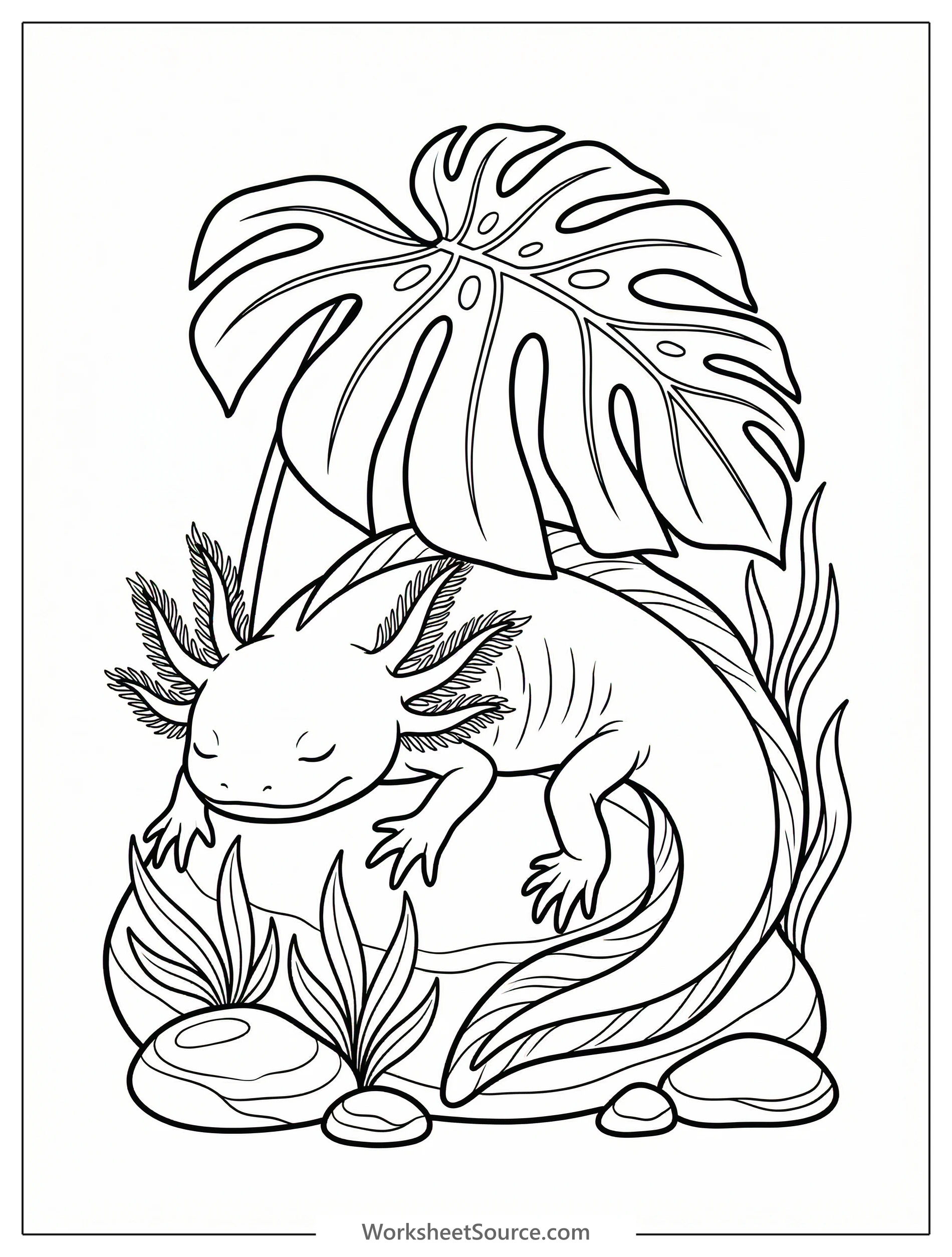 Line art coloring page featuring an anatomically correct sleeping axolotl, body and visible gills resting peacefully under a broad plant leaf.
