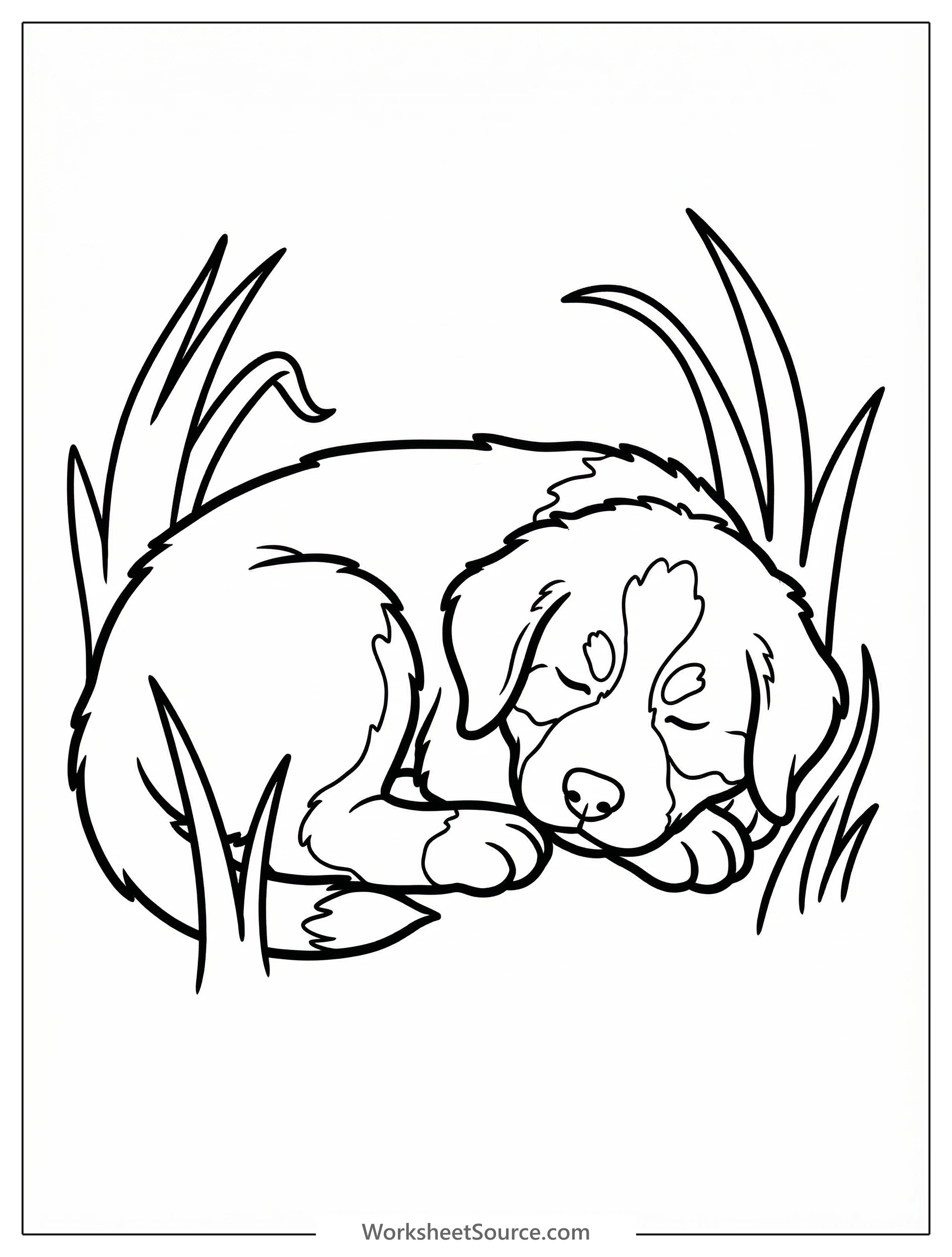 A fluffy Bernese Mountain Dog puppy is curled up fast asleep in a field of tall green grass, creating a peaceful and serene image for coloring.