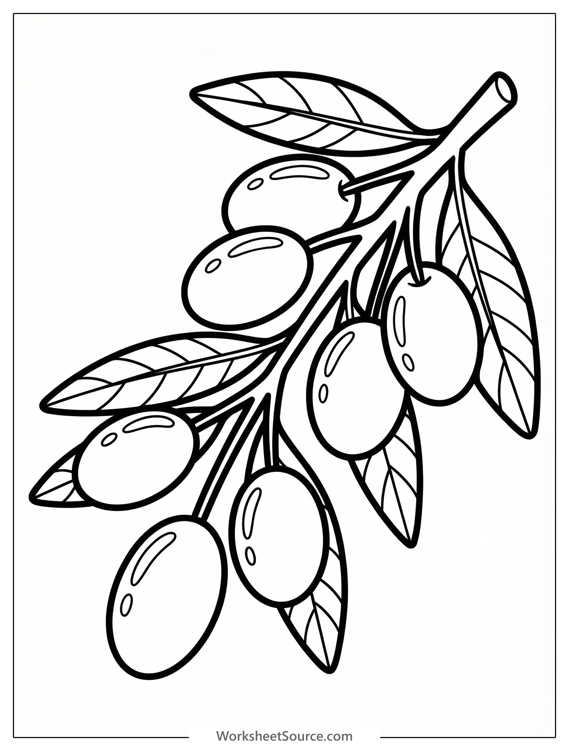 Highly detailed olive branch illustration featuring numerous textured leaves and perfectly rounded olives. Elegant botanical design.
