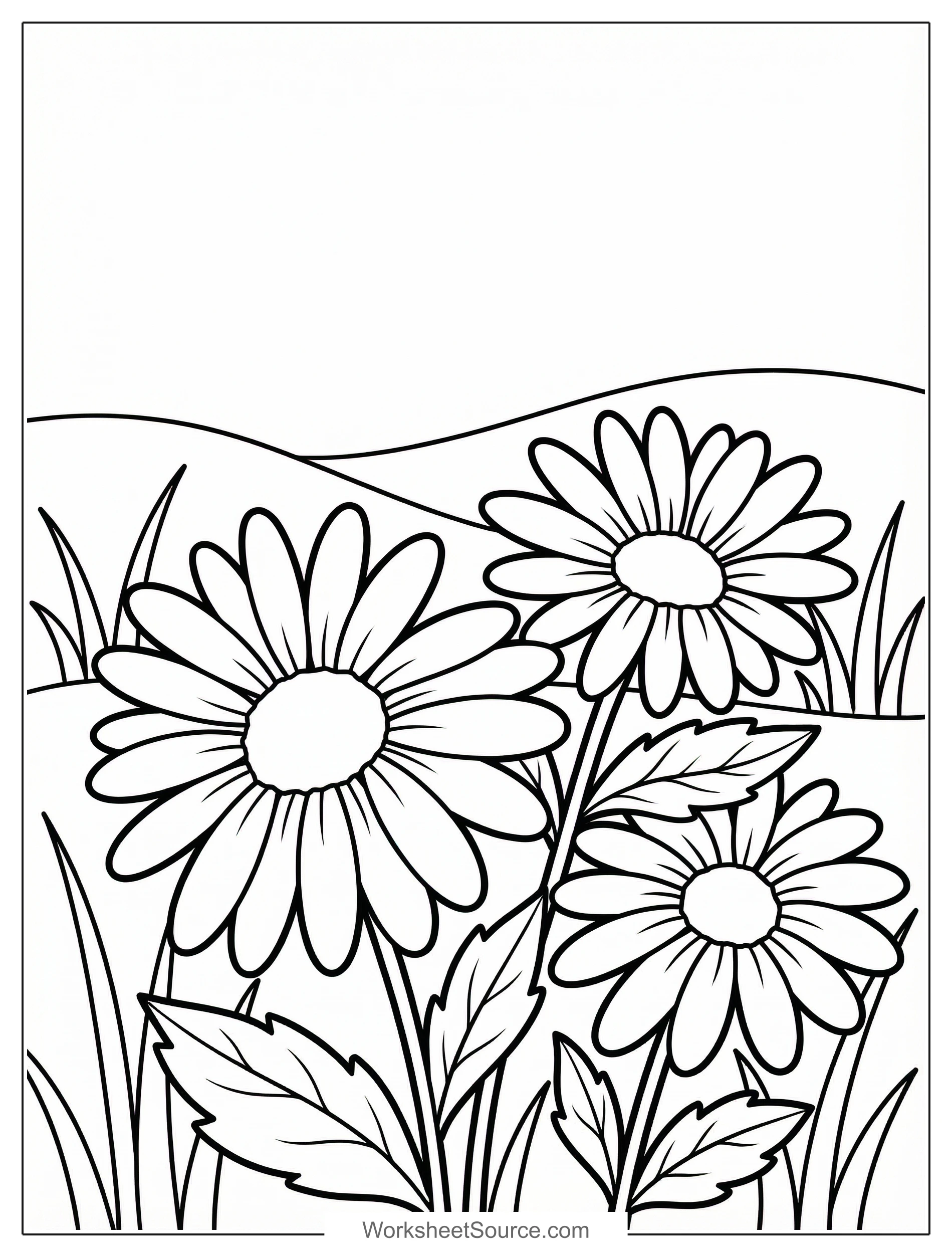 Free printable coloring page showing three wild daisies in a meadow, perfect for kids to practice coloring and learn about flowers
