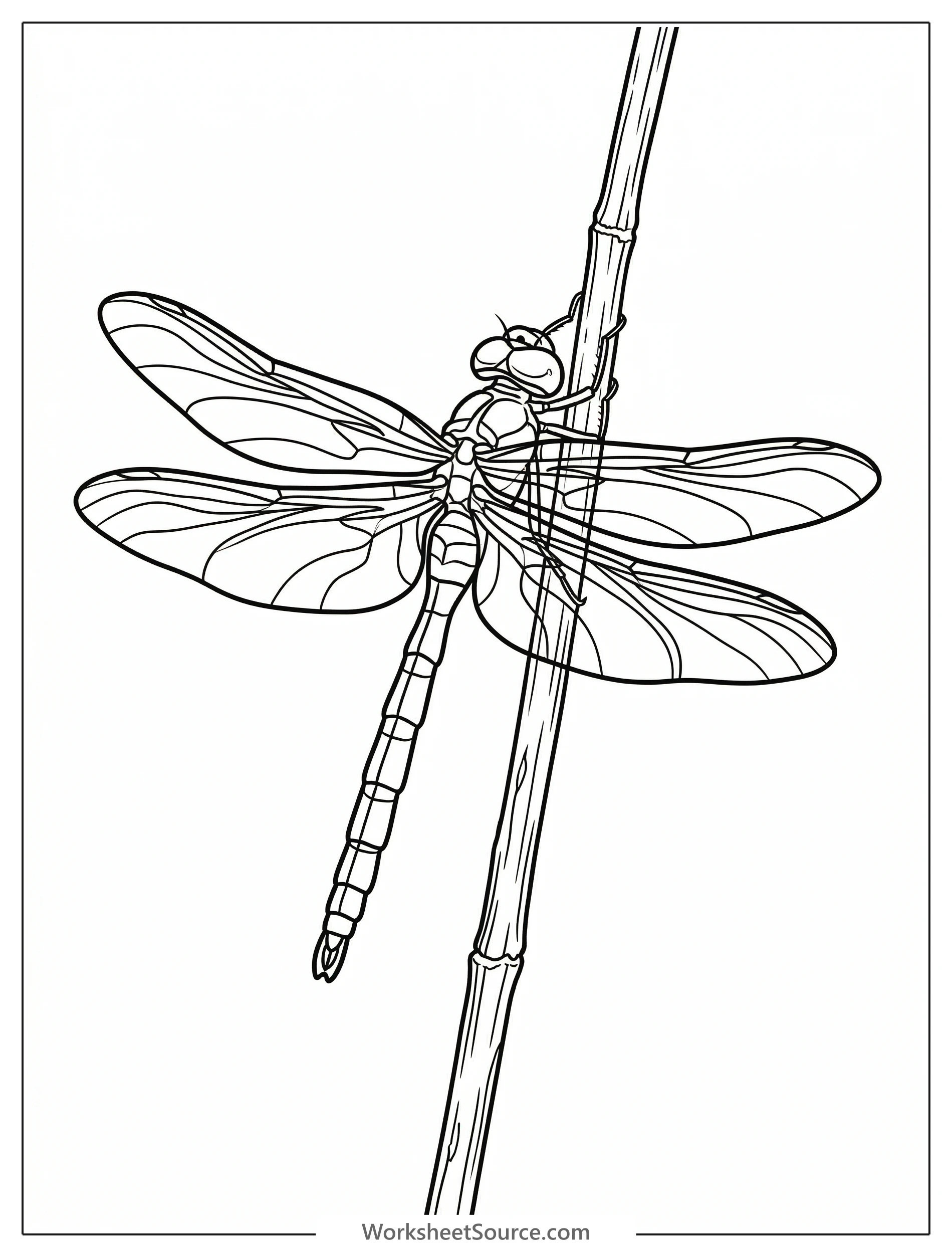 Detailed lofi aesthetic coloring page depicting a dragonfly with delicate wings resting serenely on a tall reed stem, surrounded by gentle abstract shapes.