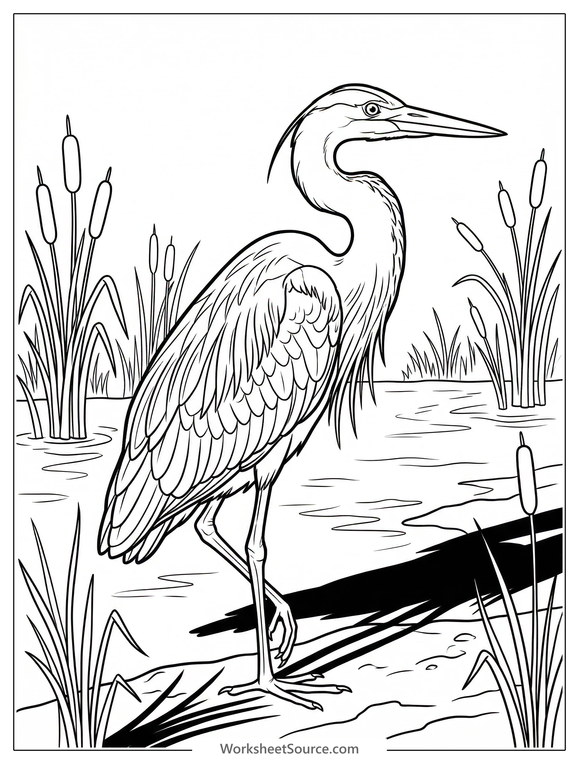 Coloring page depicting long, dramatic shadows cast by a low, late afternoon sun across a serene, minimalist landscape, evoking a lofi aesthetic atmosphere.