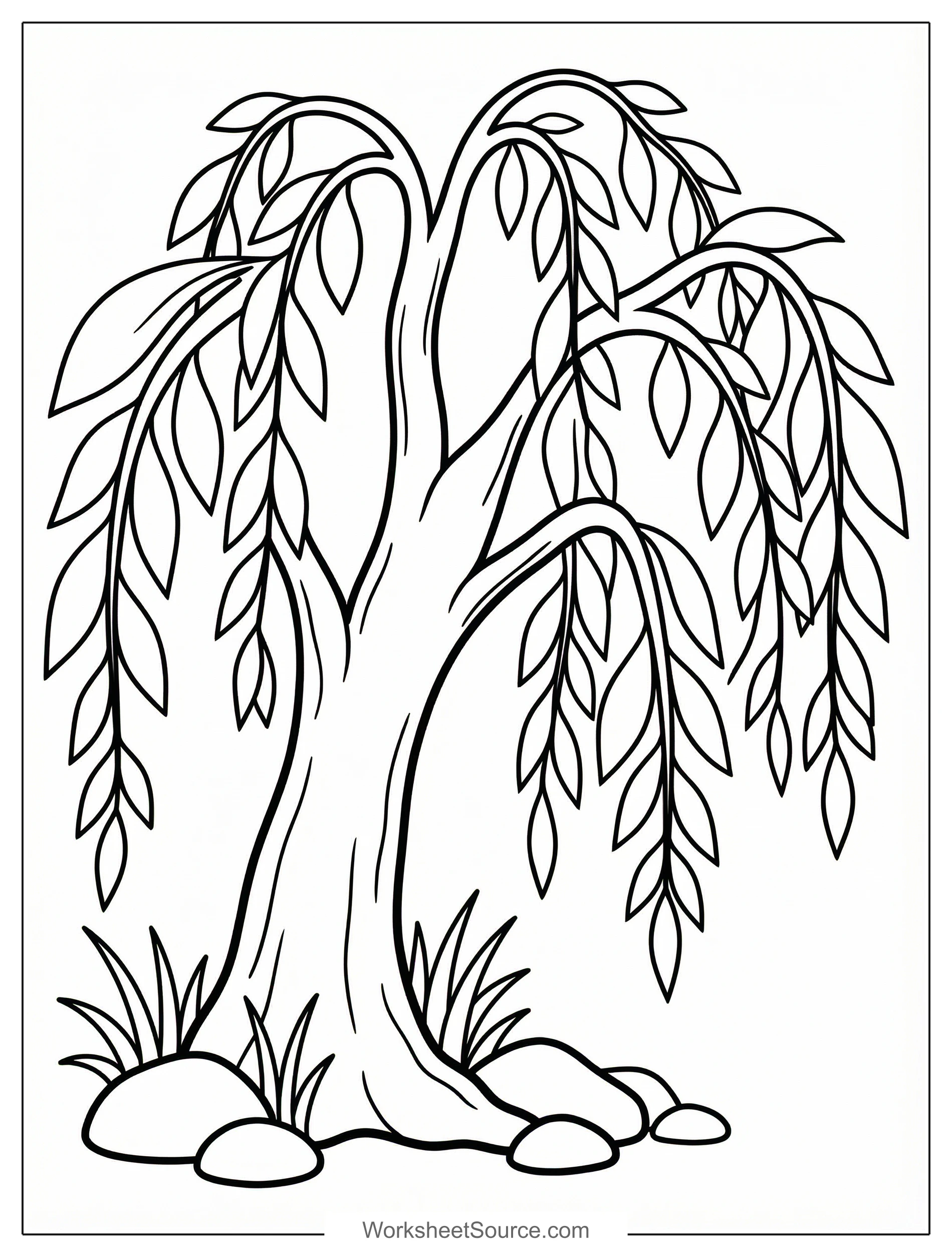 Free printable coloring page showing a willow tree with drooping leaves and rocks, perfect for kids to practice coloring and learn about trees
