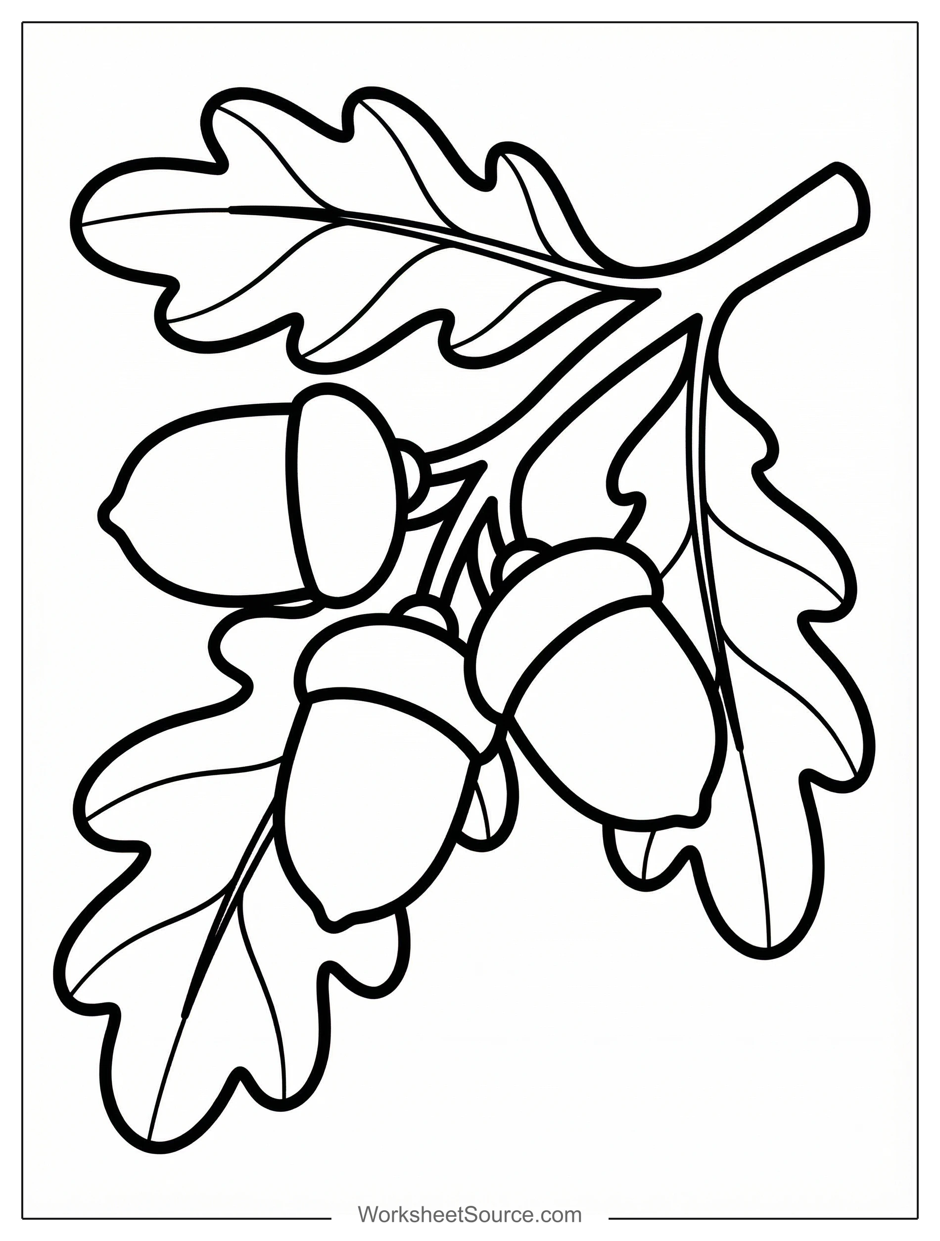 Free printable coloring page showing acorns on an oak branch, perfect for kids to practice fine motor skills and color recognition