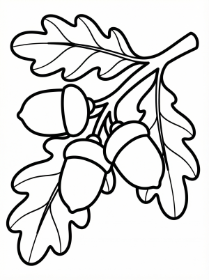 Seasons & Holidays coloring pages
